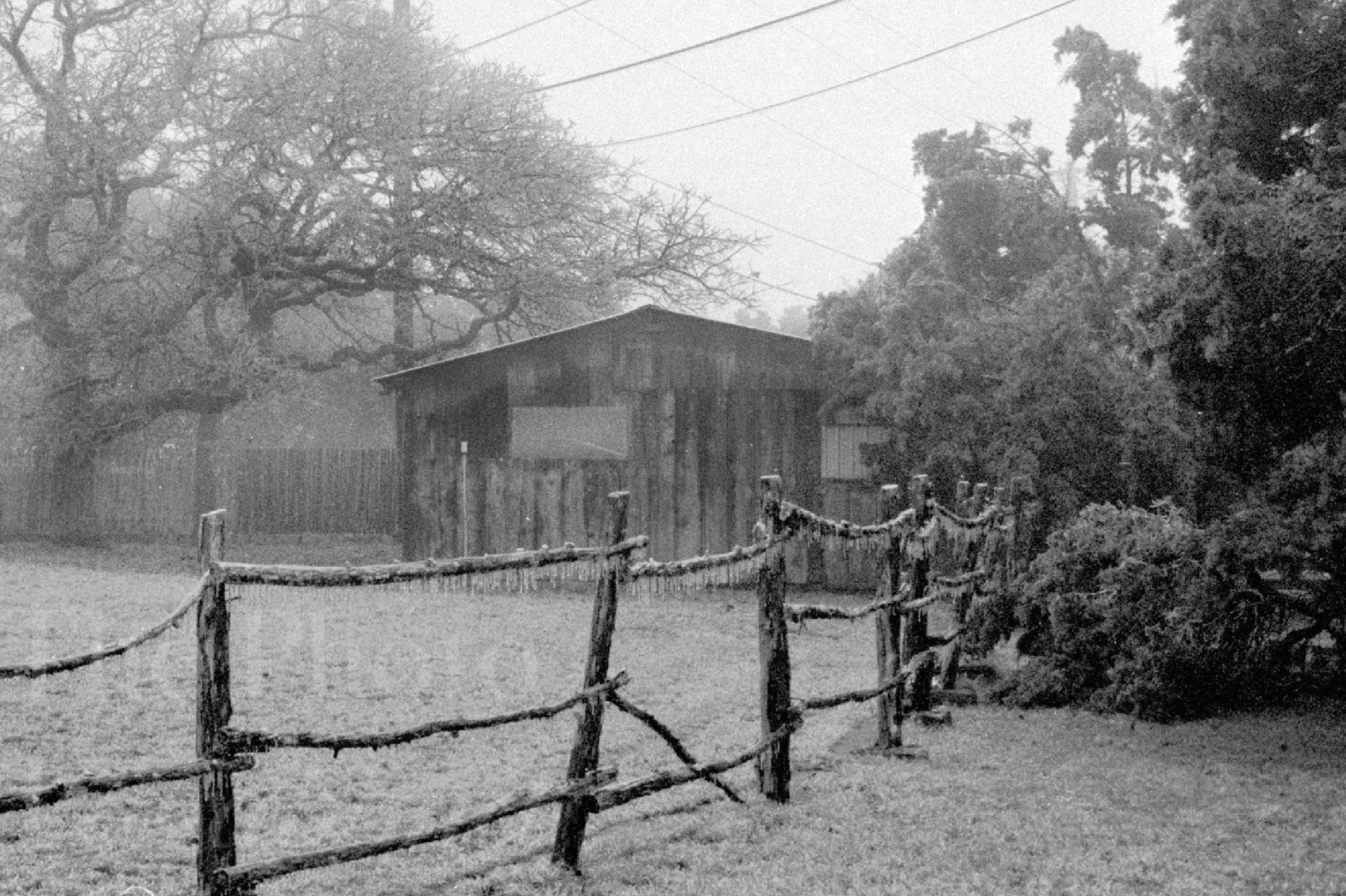 Fences012.jpg