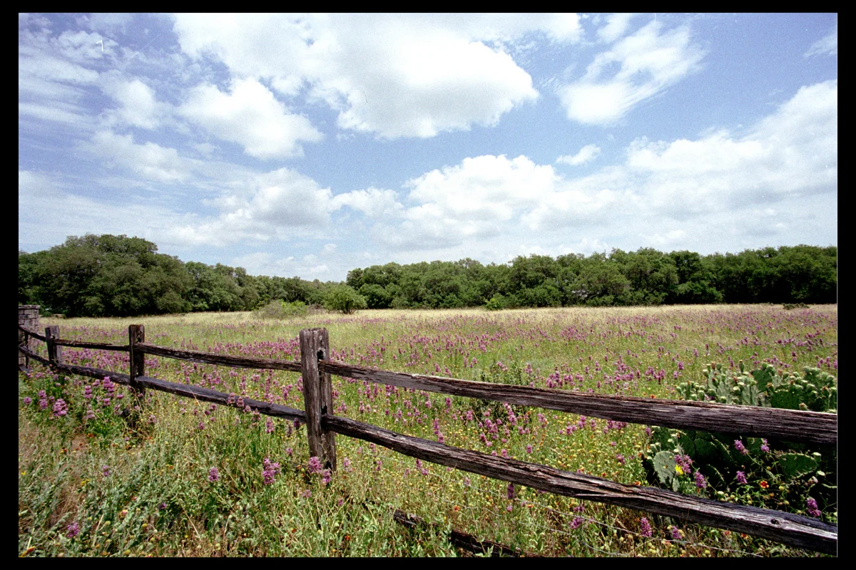 Fences011.jpg