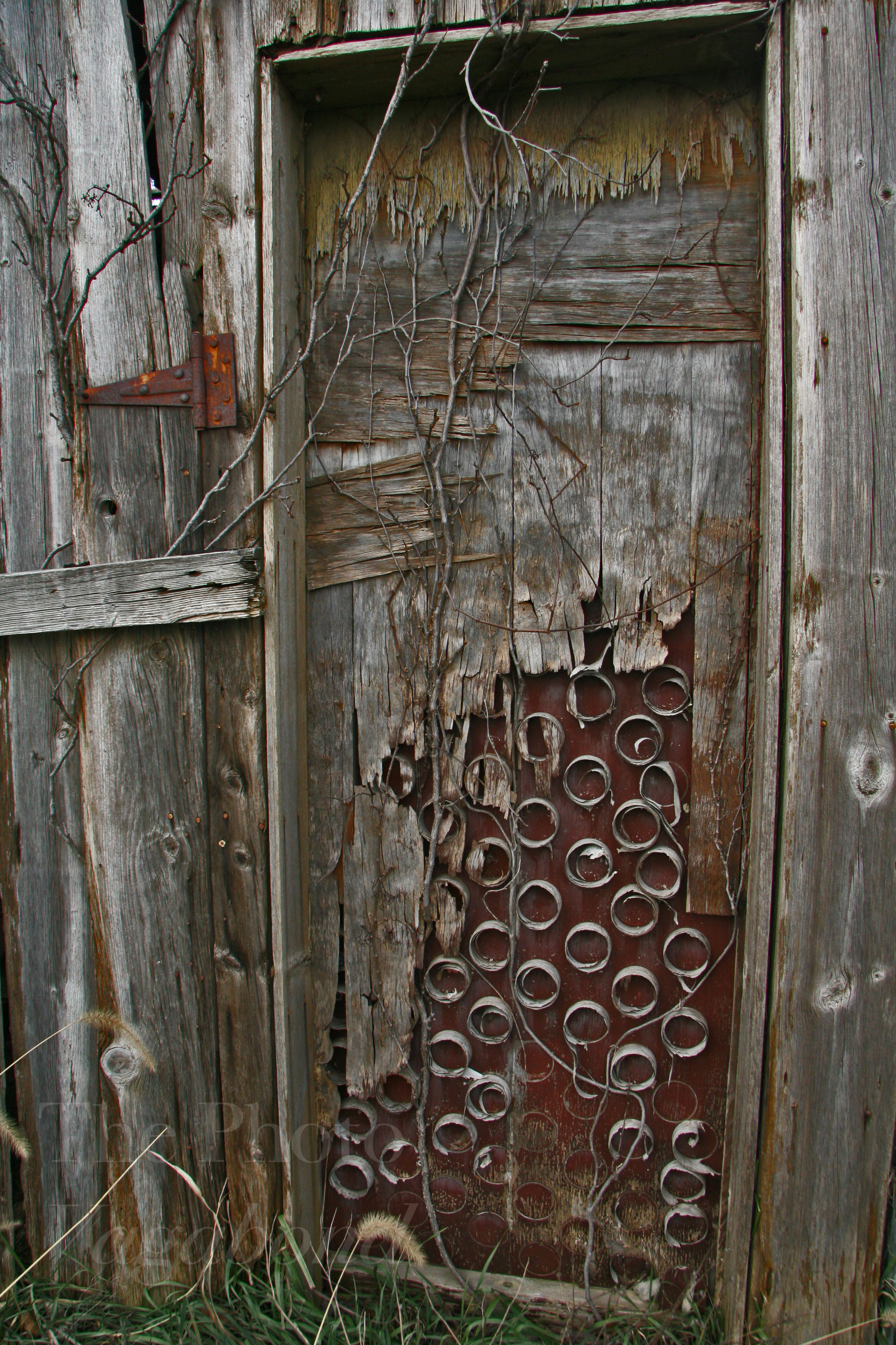 Doors018.JPG