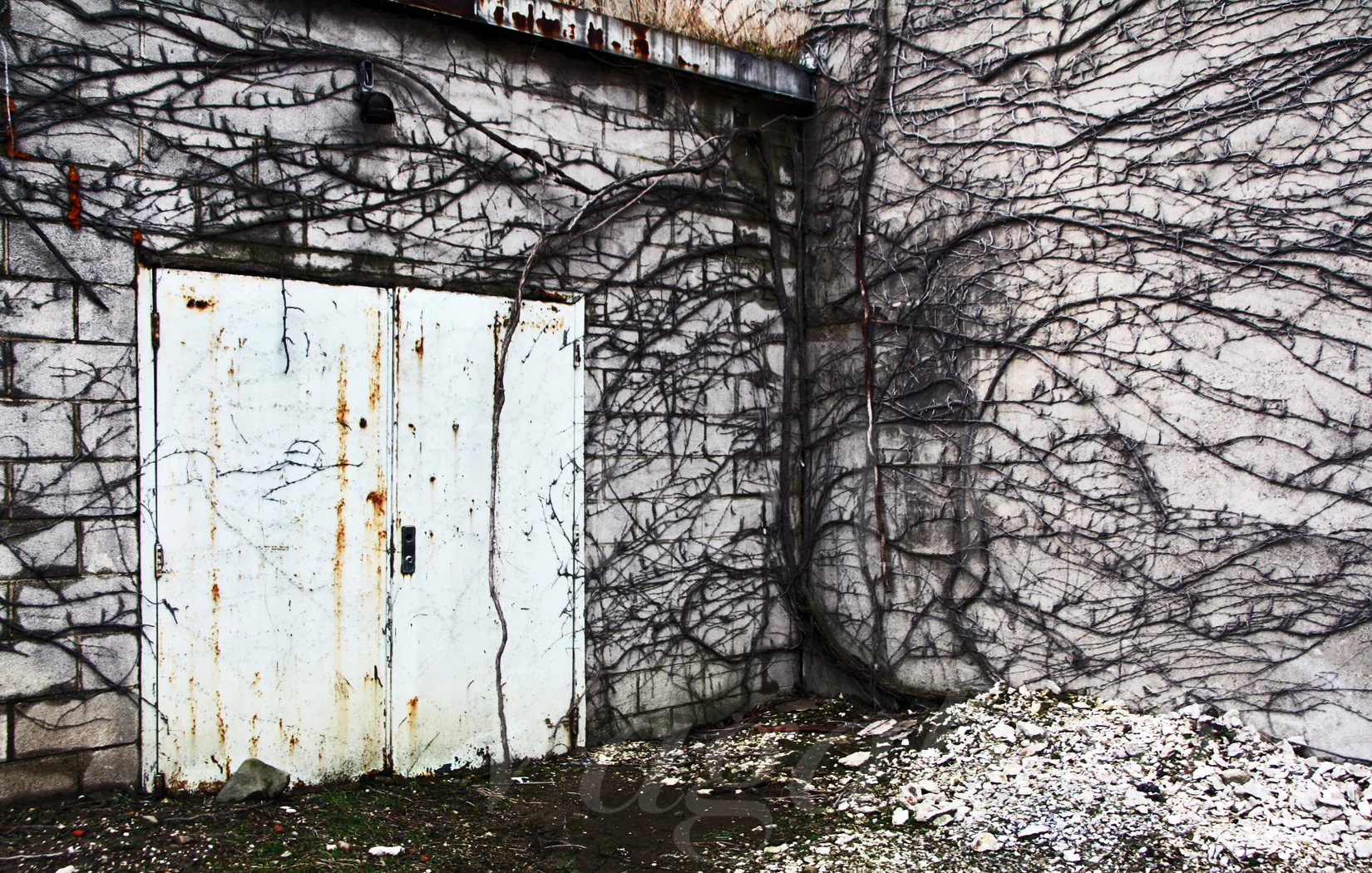 Doors020.jpg