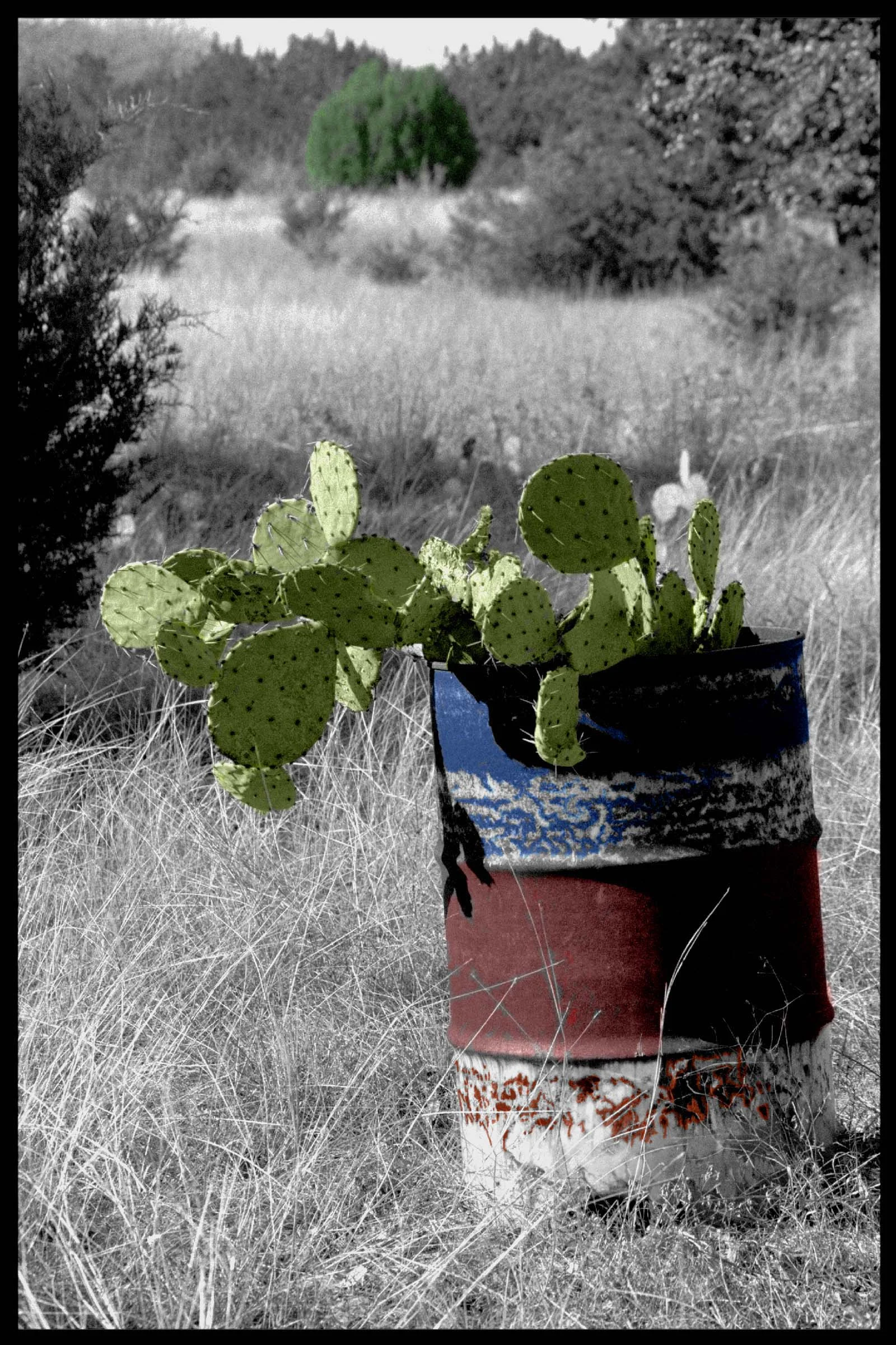 Fences009.jpg