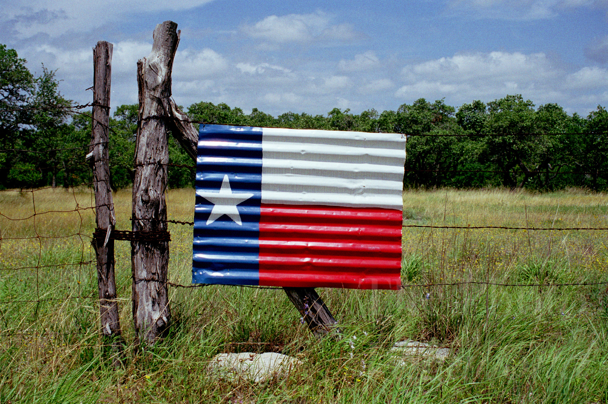 Fences008.jpg