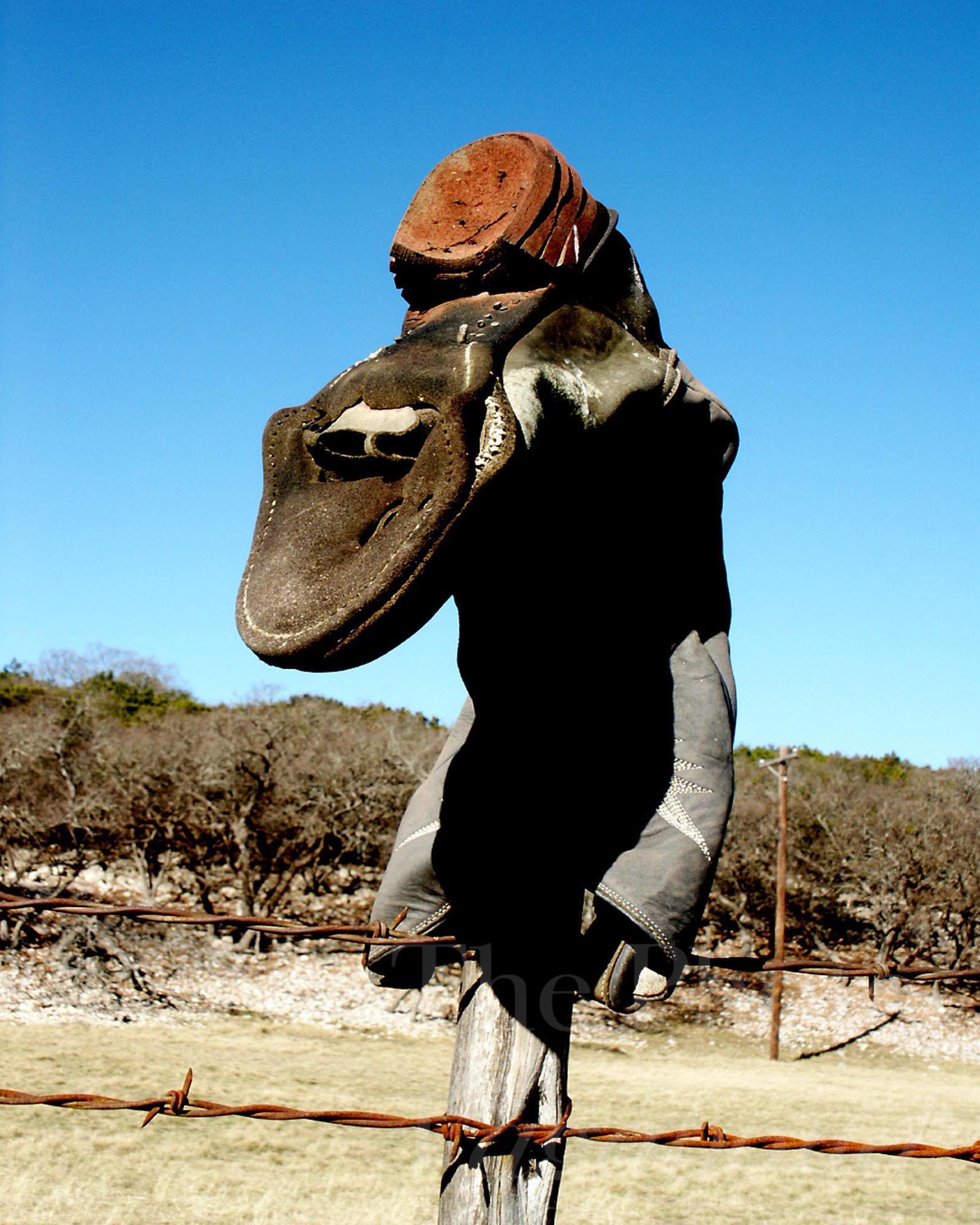 Fences026.jpg