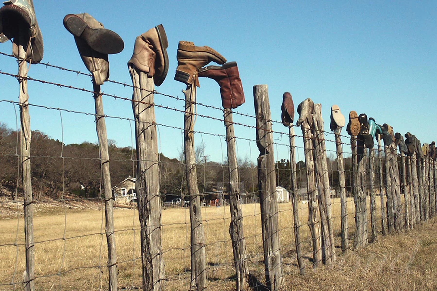 Fences027.jpg