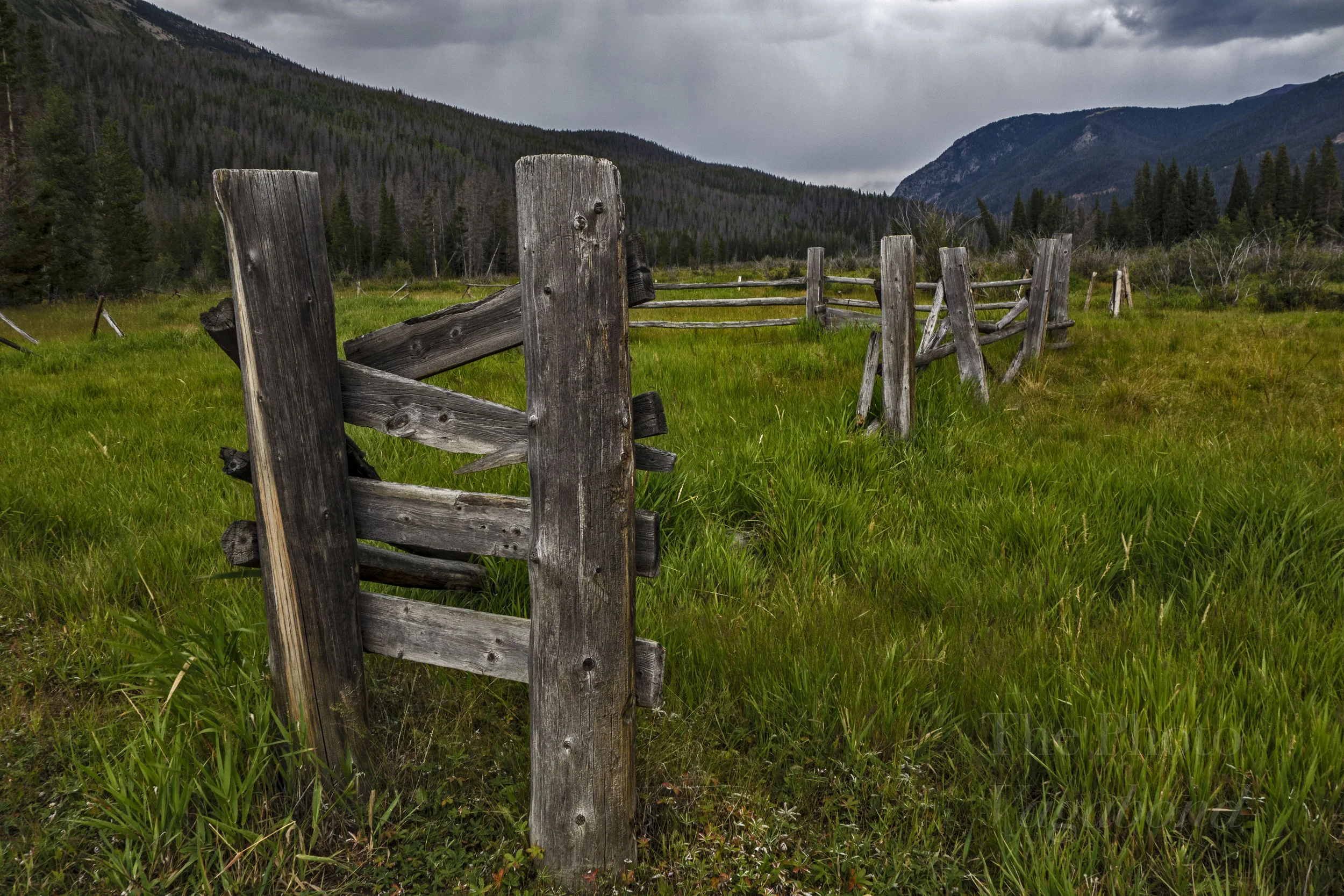 Fences030.JPG