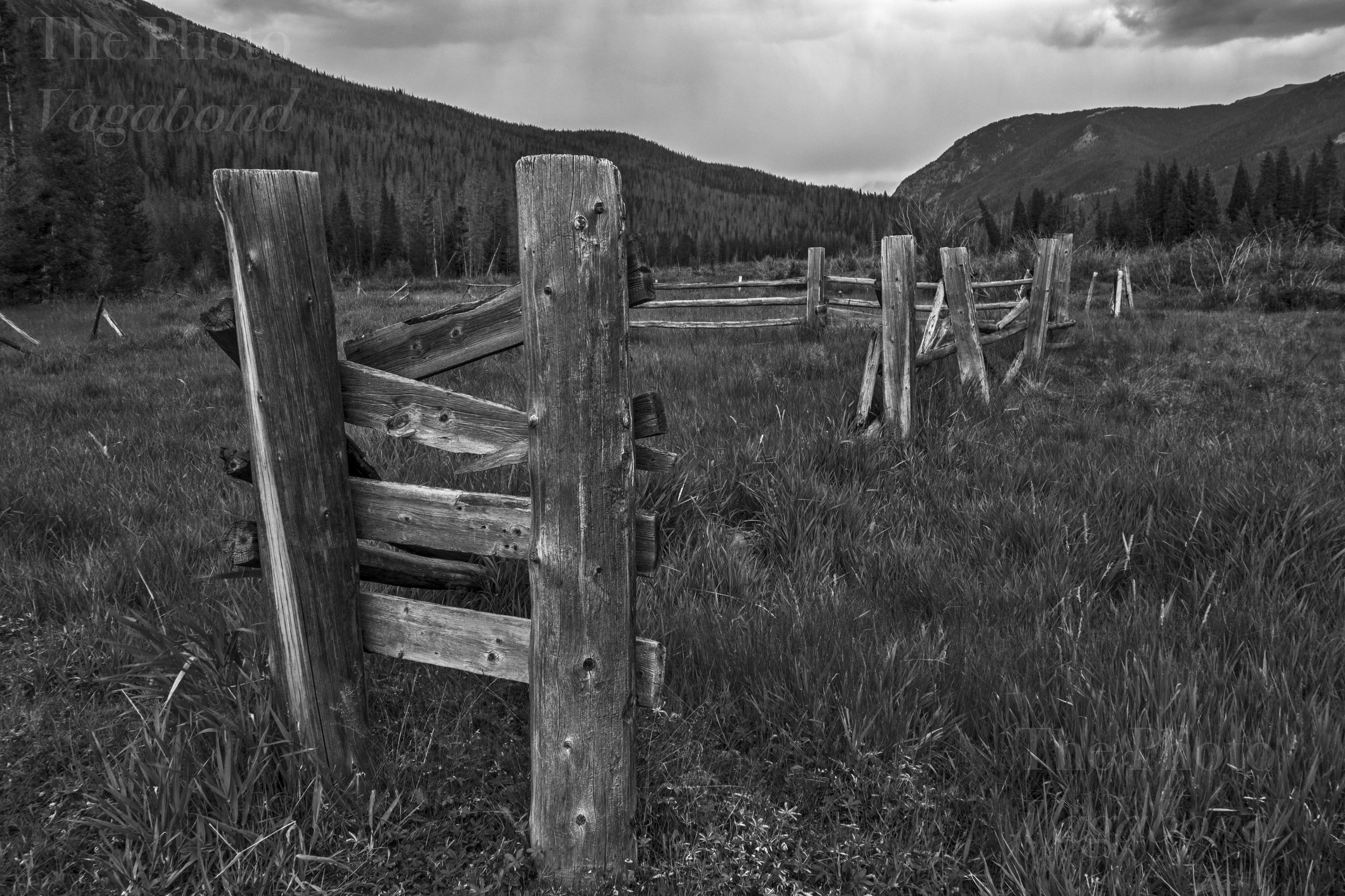 Fences031.jpg