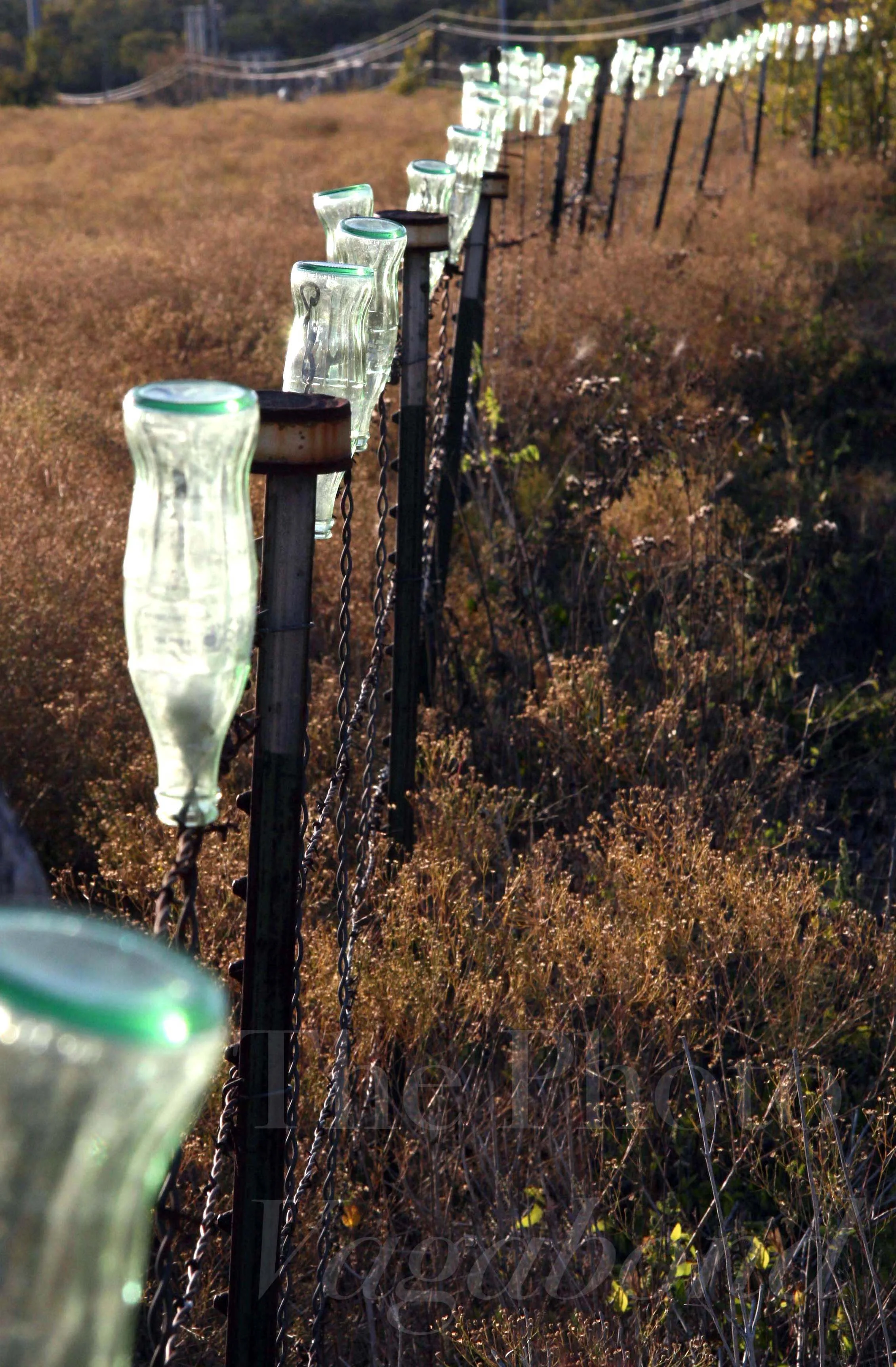 Fences038.jpg