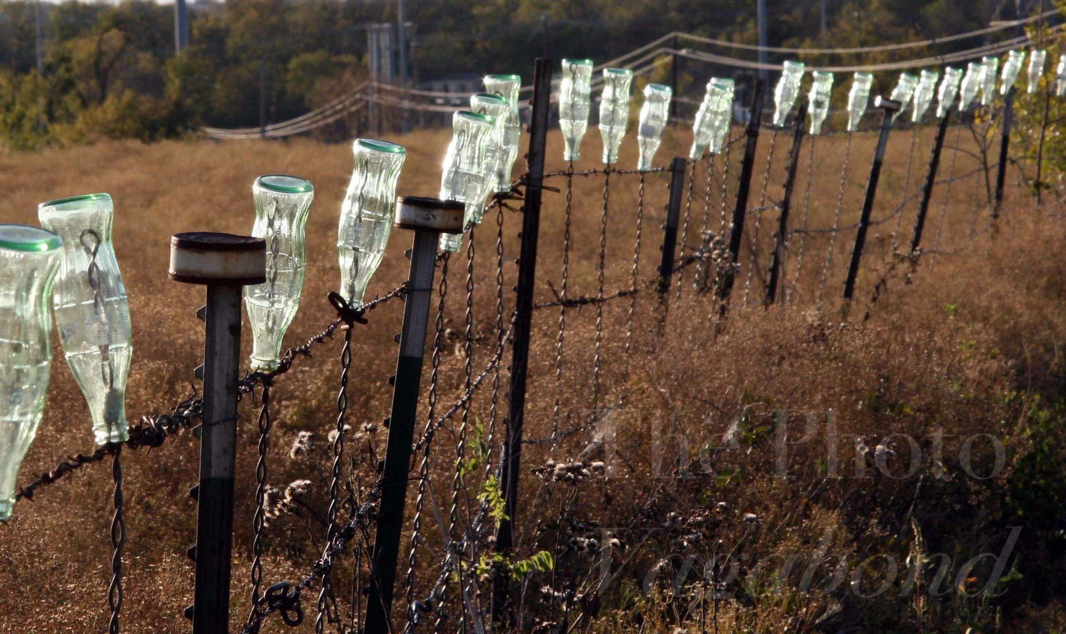 Fences039.jpg