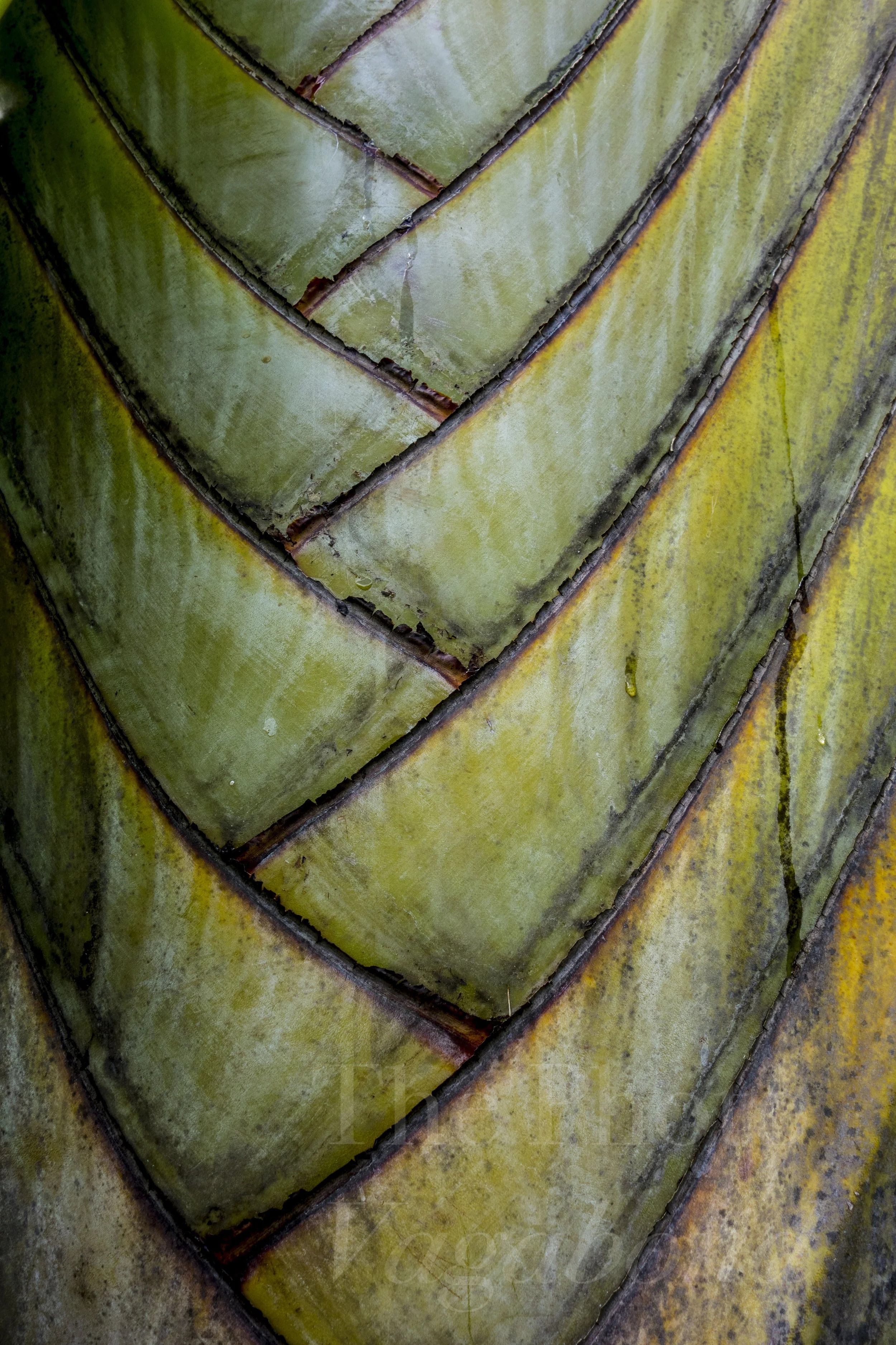 _DSC9598.jpg