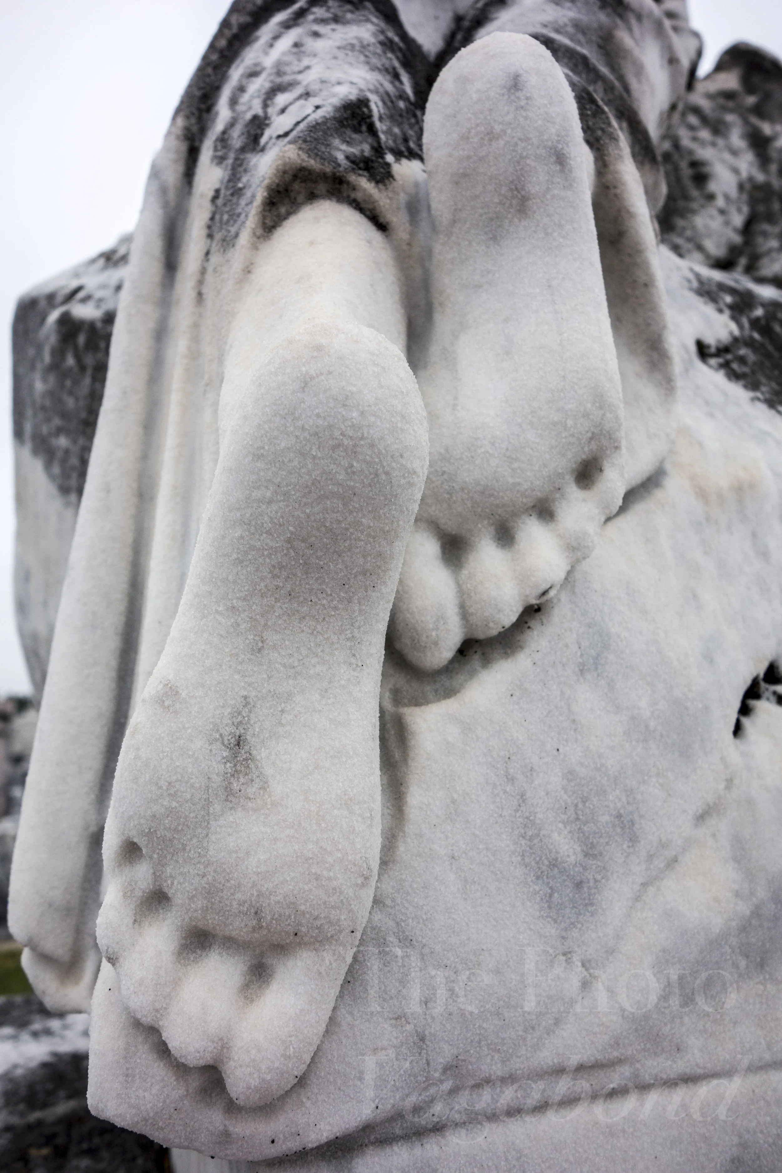 _DSC8505.jpg