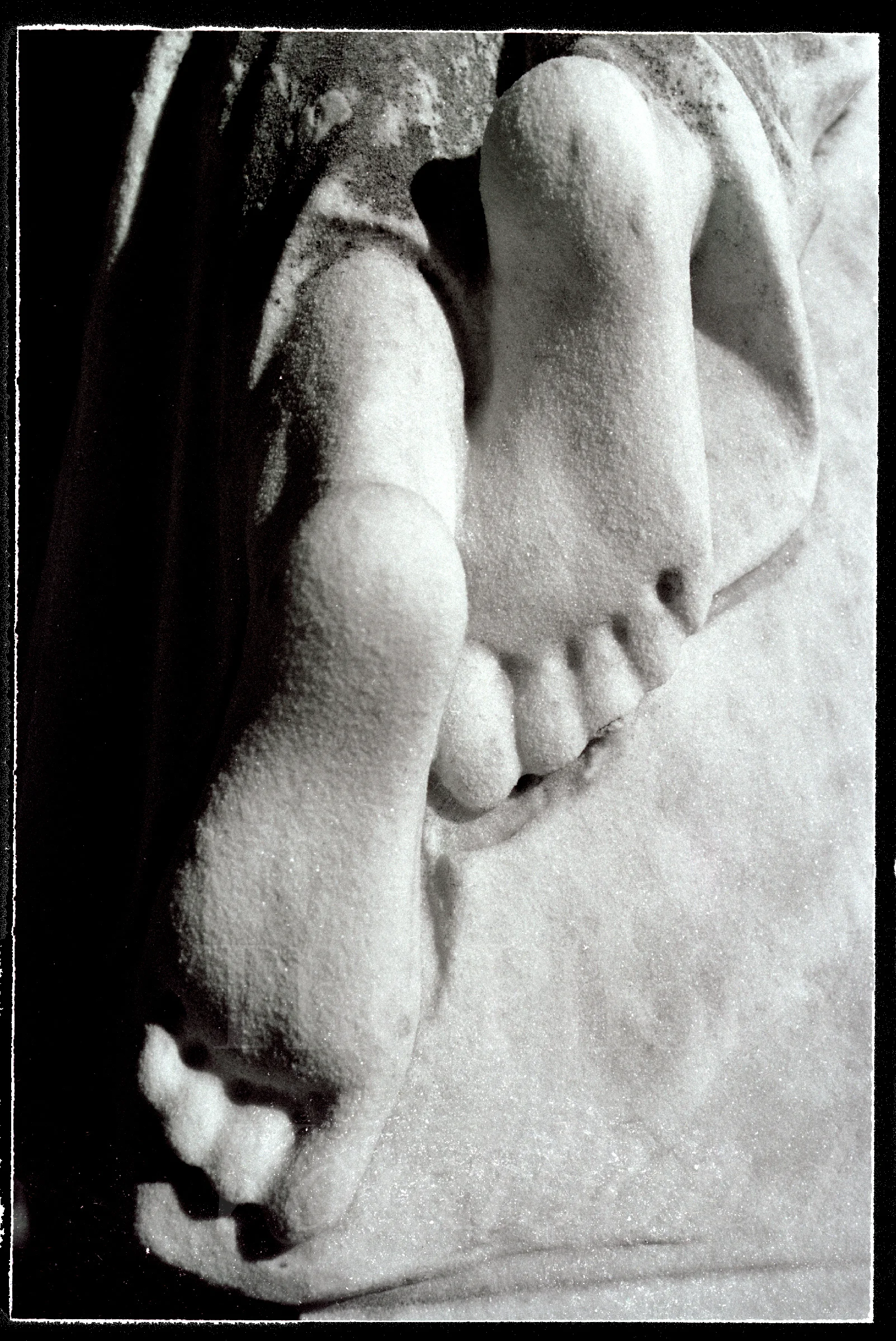 Feet022.jpg