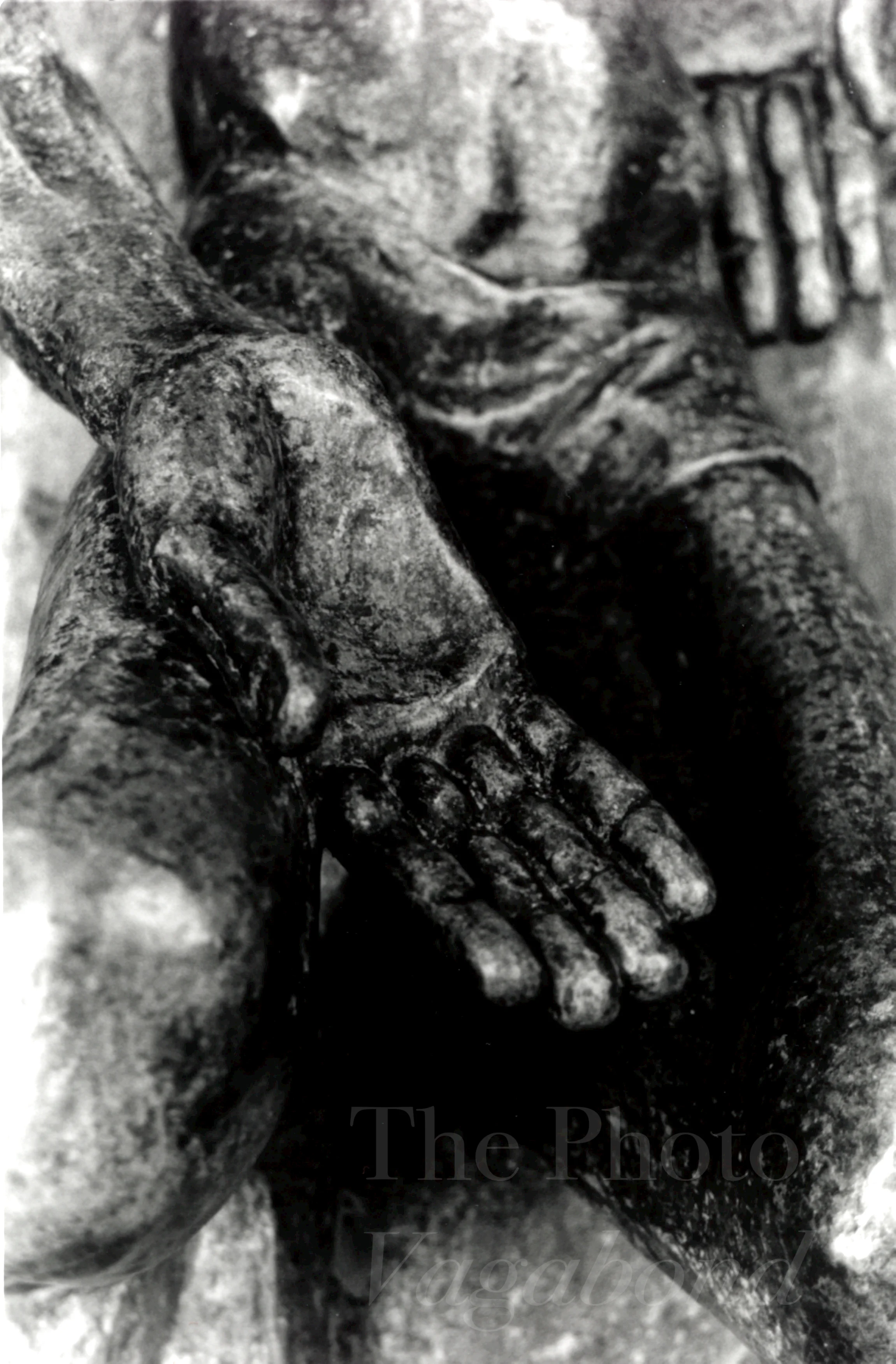 Feet021.jpg