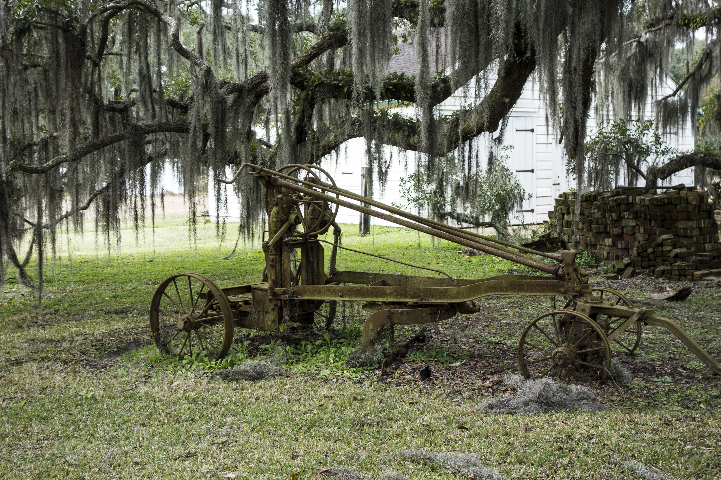 _DSC8798.jpg