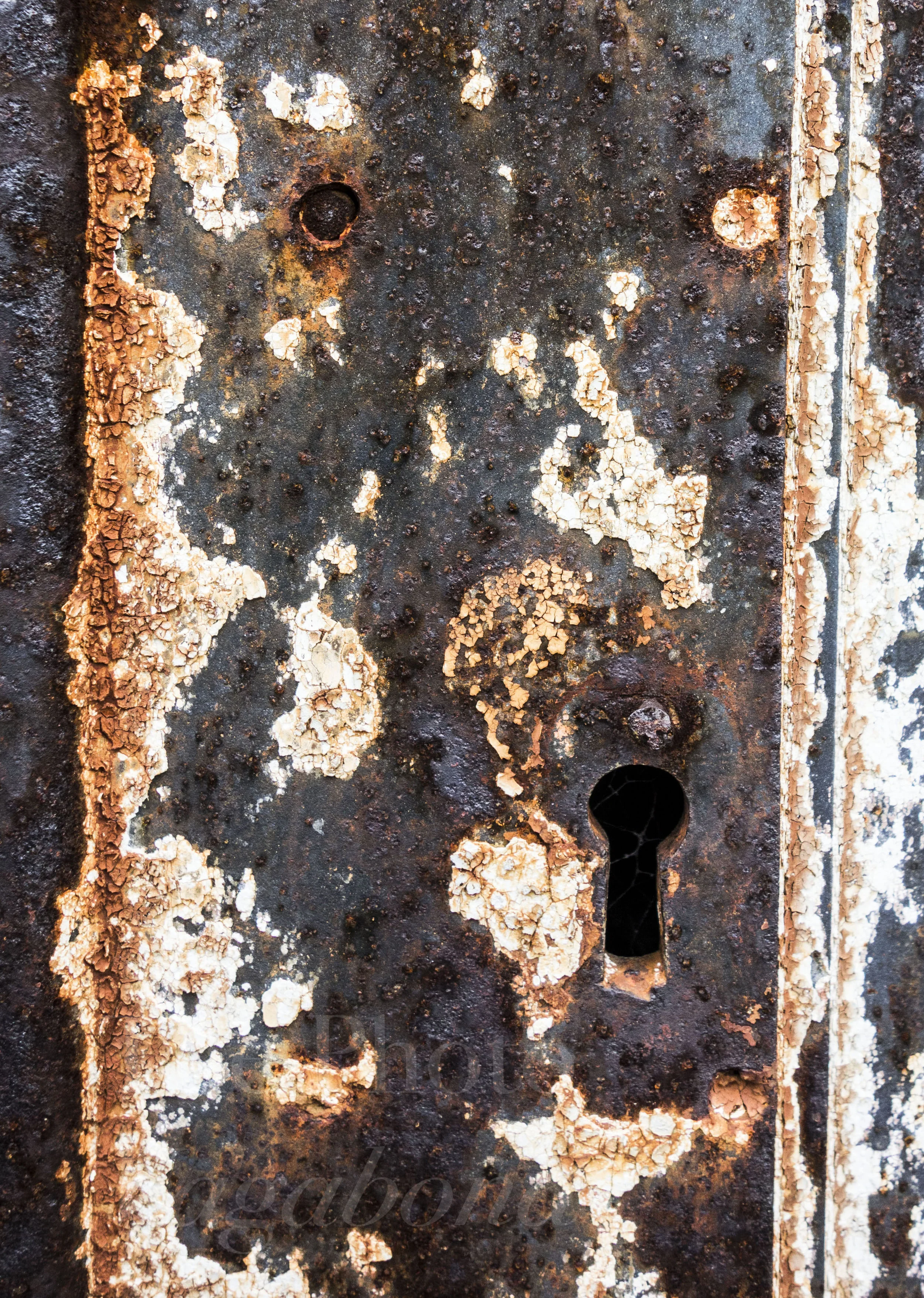 _DSC8358.jpg