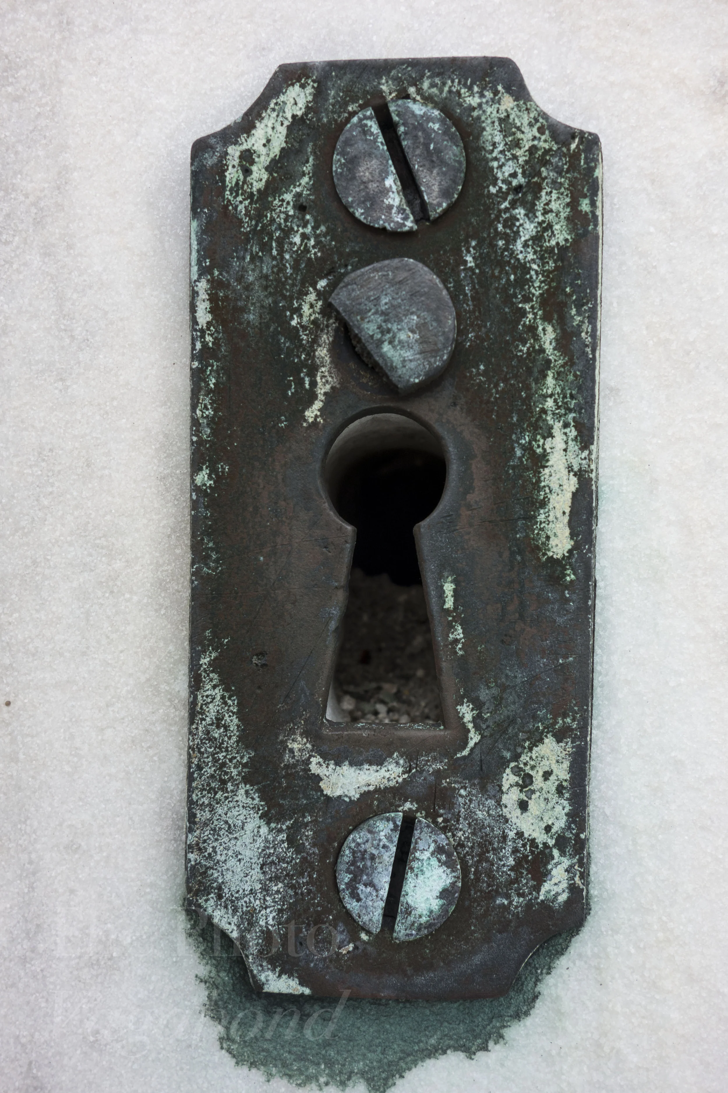 _DSC8507.jpg