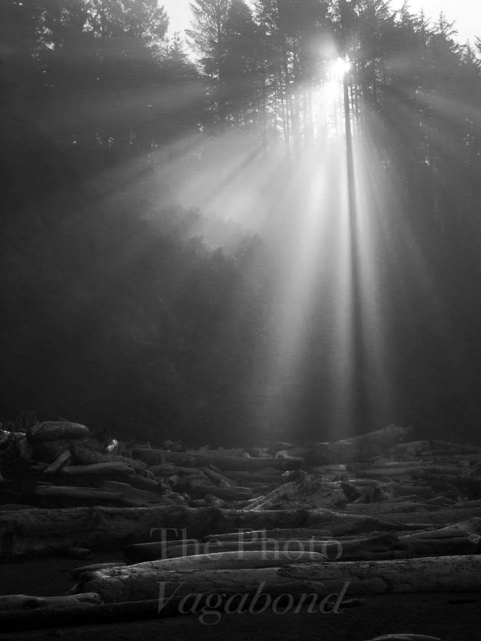 Landscape water001.jpg