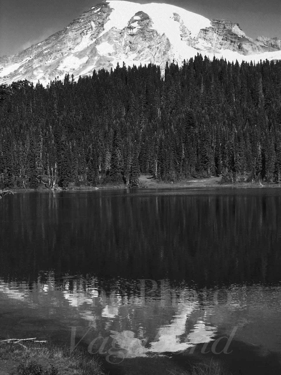 Landscape water025.jpg