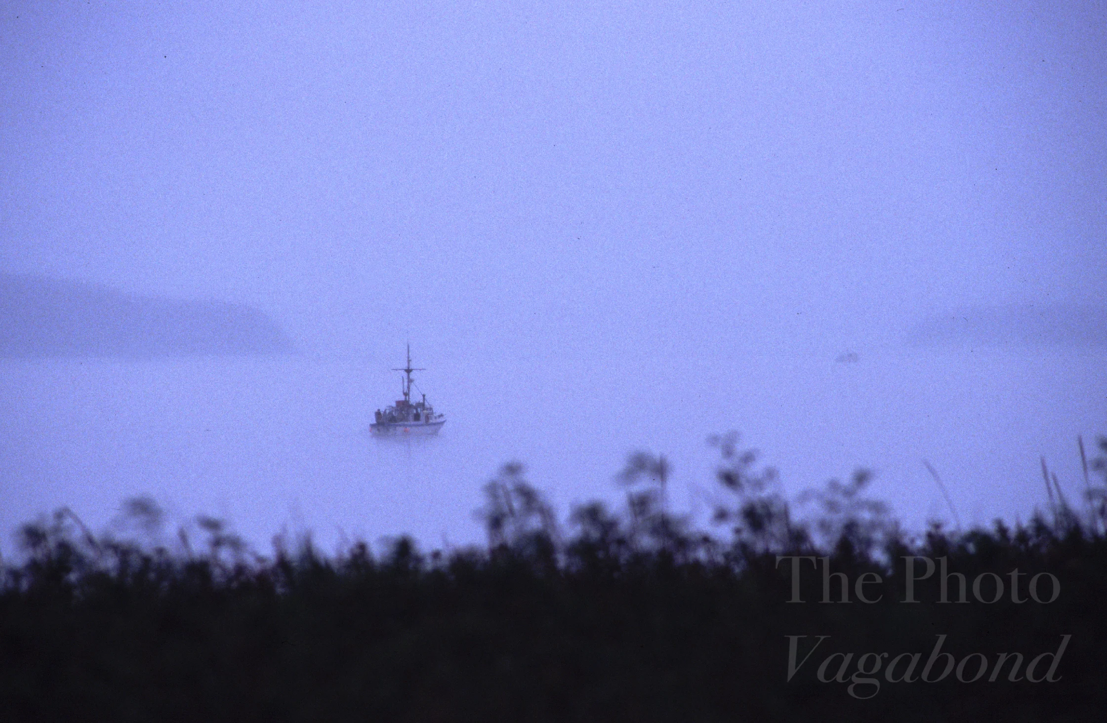 Landscape006.jpg