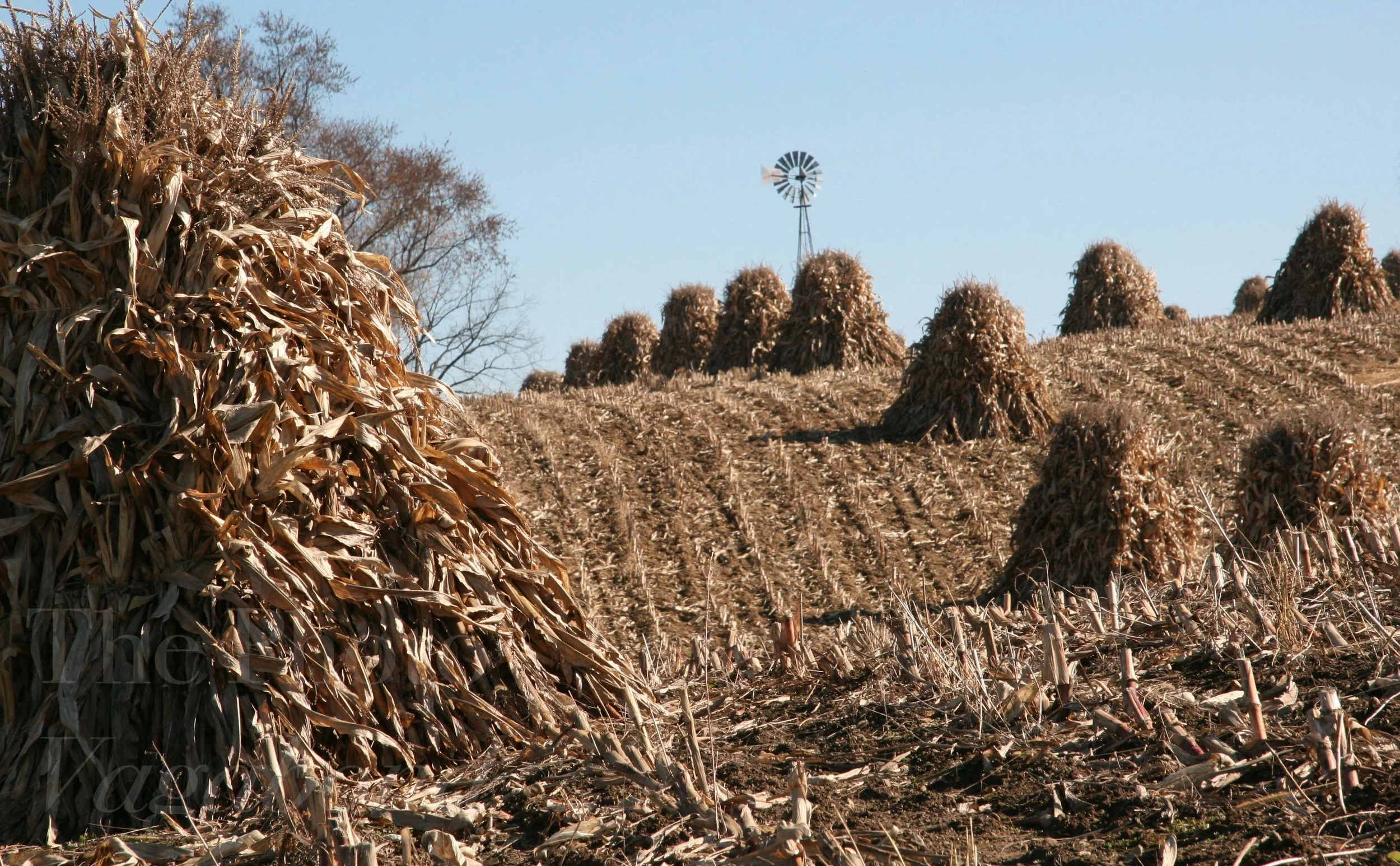Landscape008.jpg
