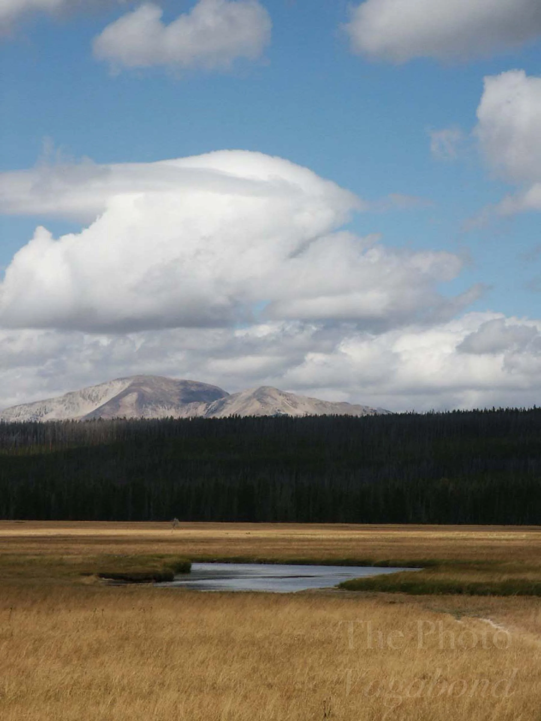 Yellowstone003.jpg