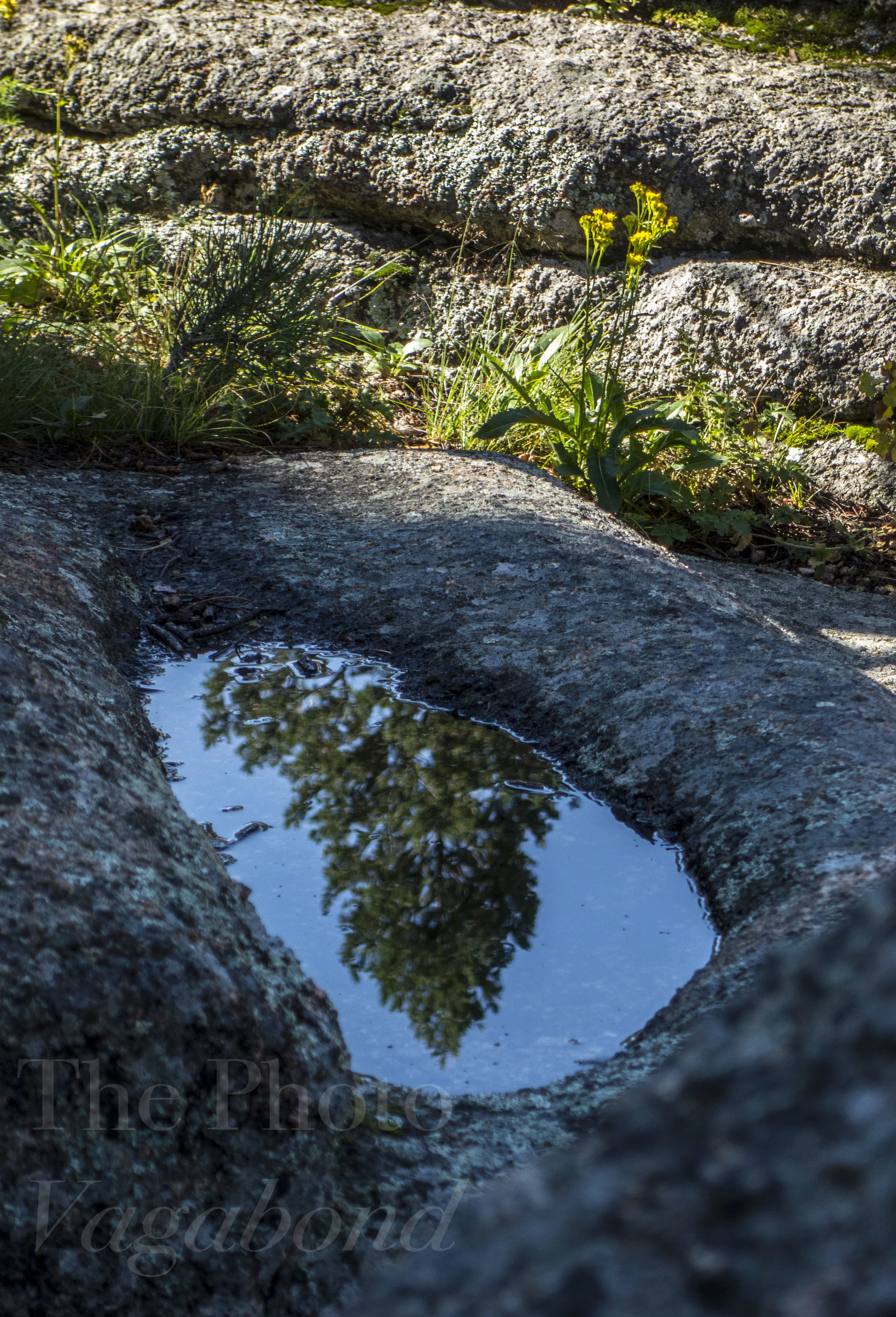 Landscape water015.jpg