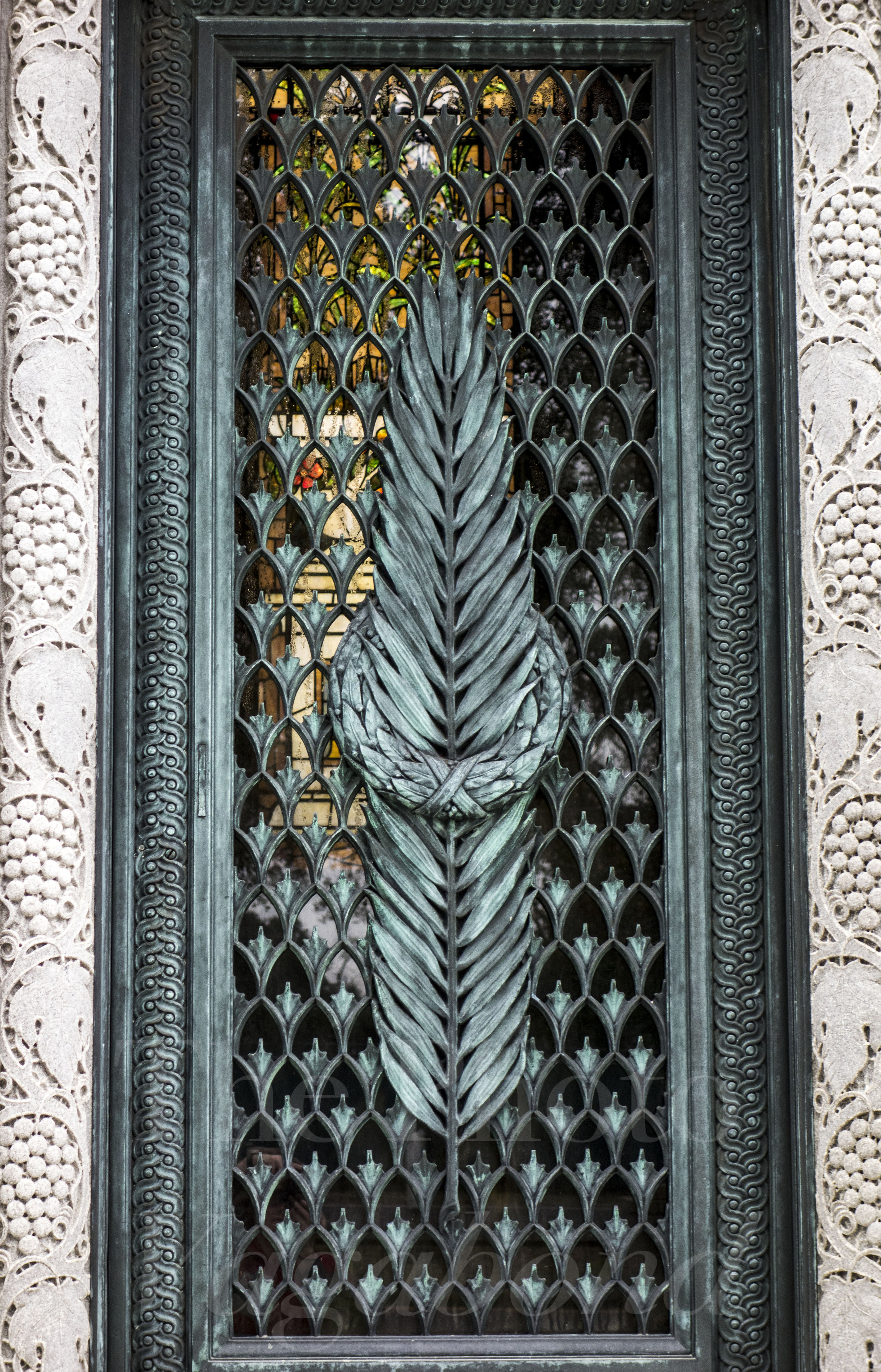 _DSC8524.jpg