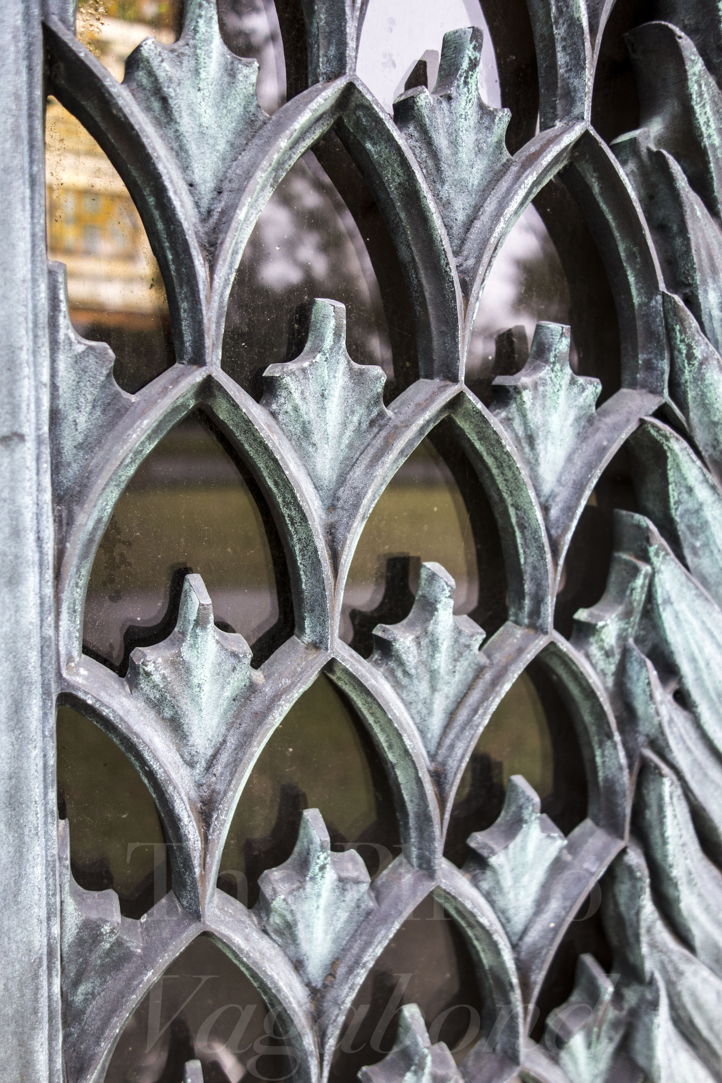 _DSC8527.jpg