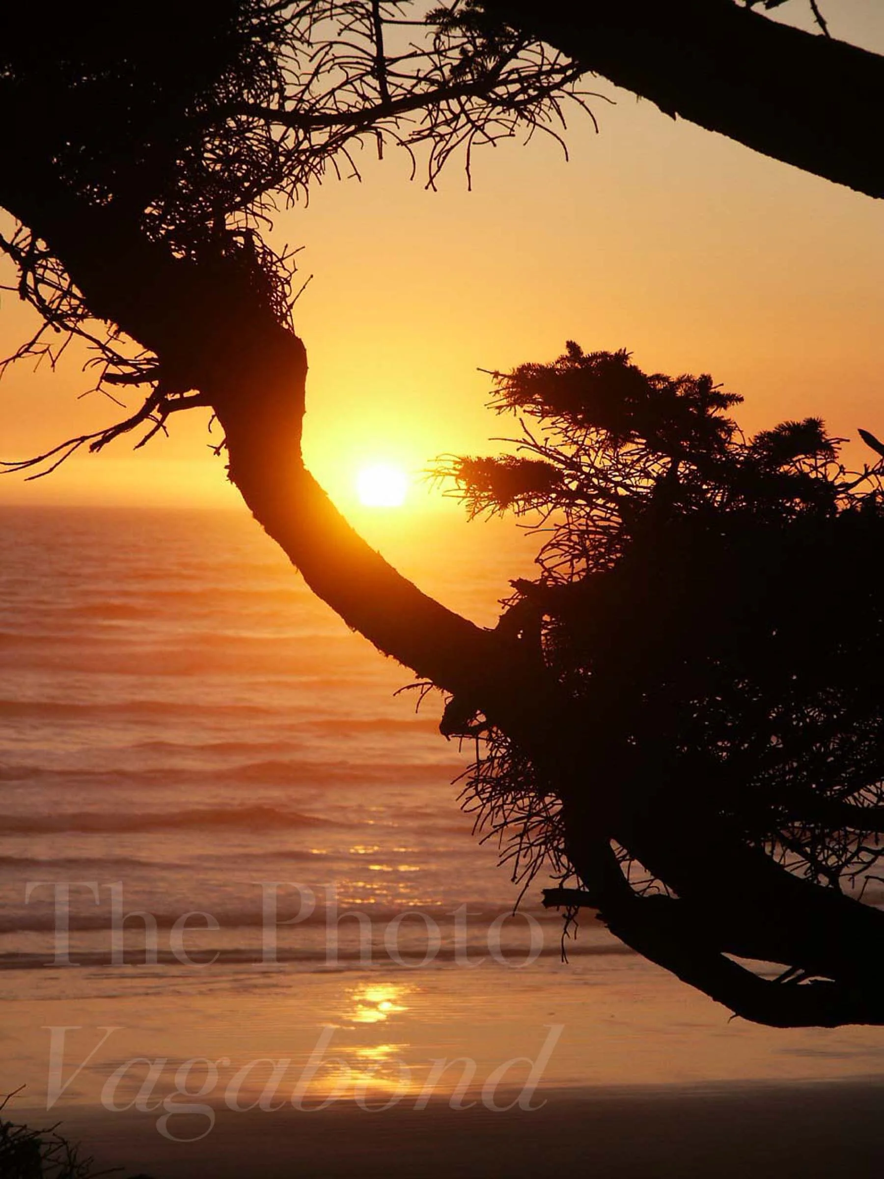 Sunset:rise042.jpg