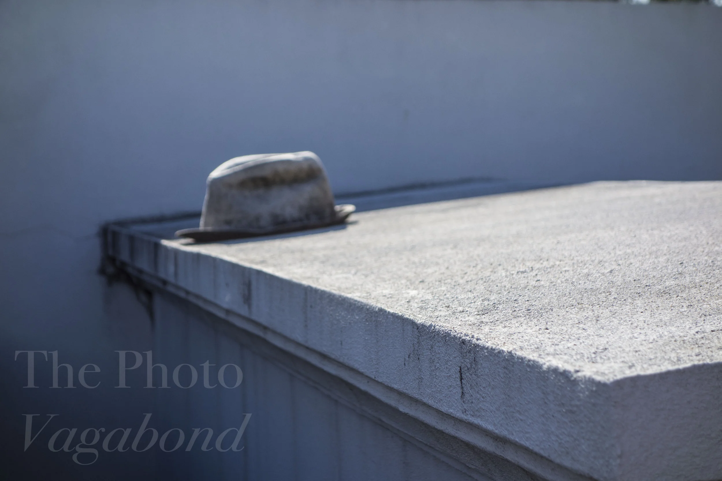 _DSC8161.jpg