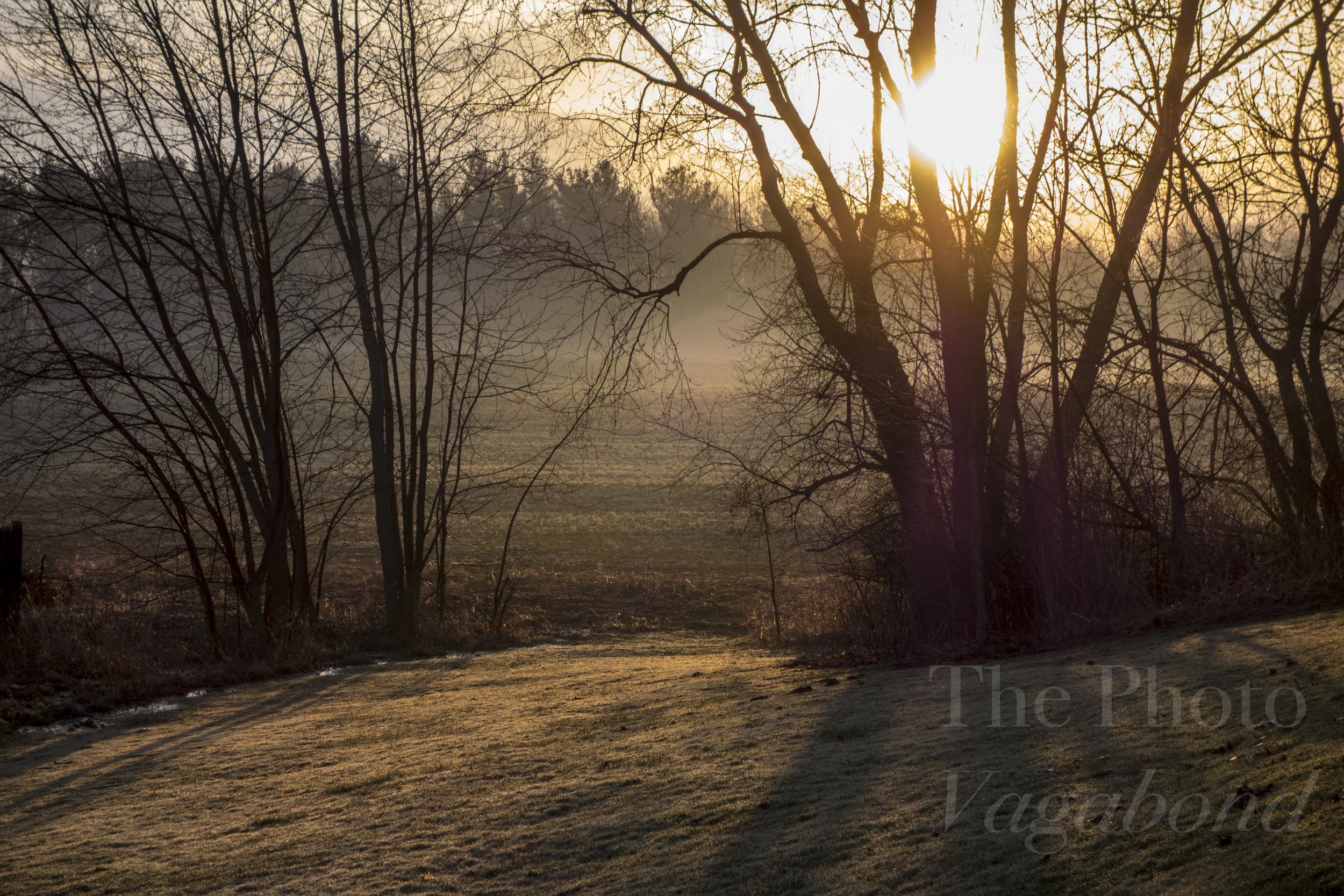 Sunset:rise029.jpg