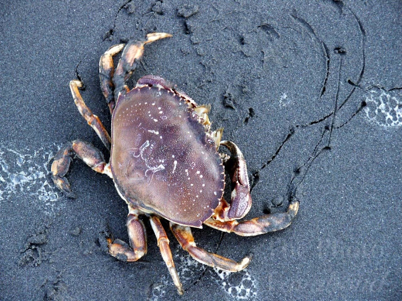 water:beach014.jpg