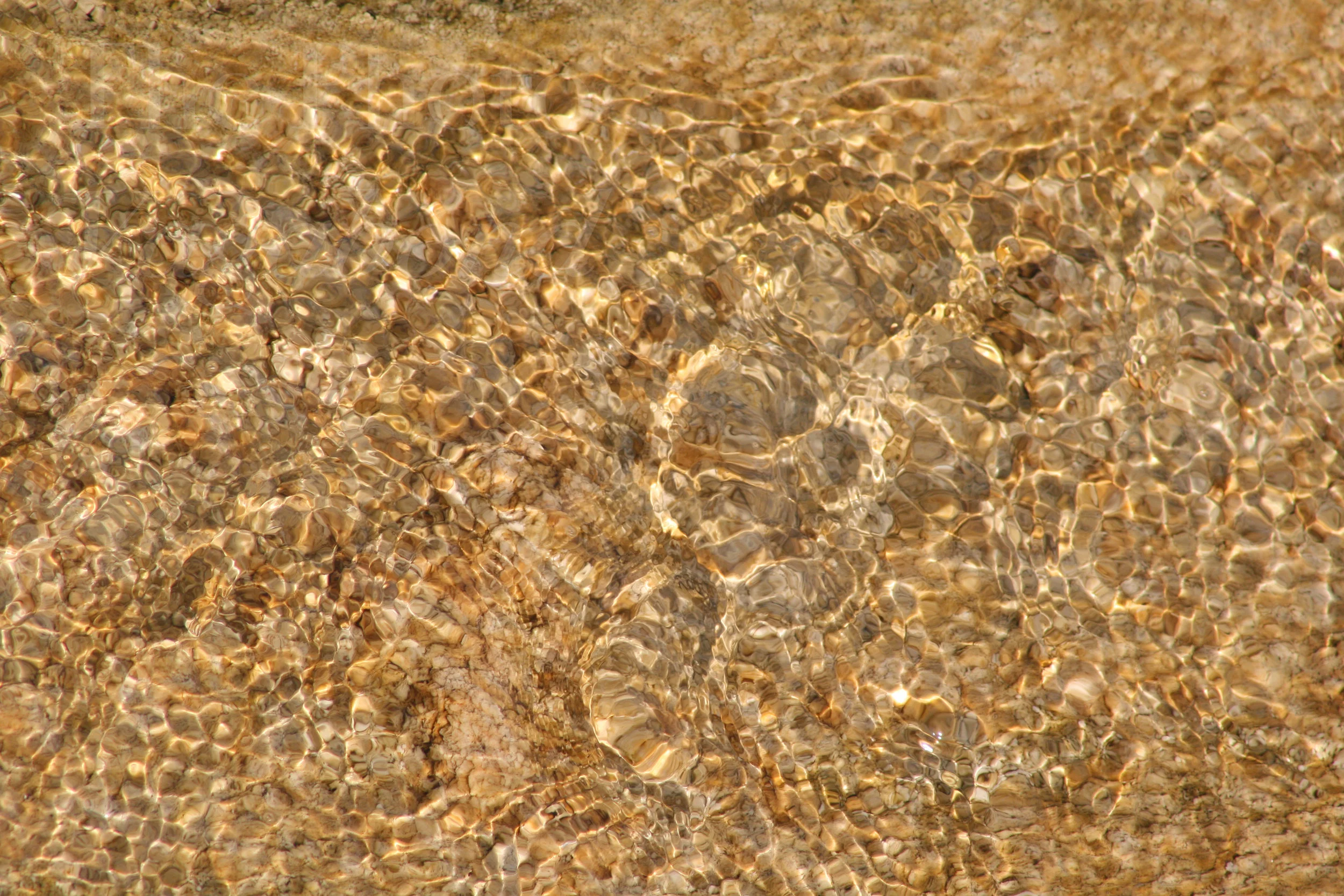 Texture052.JPG