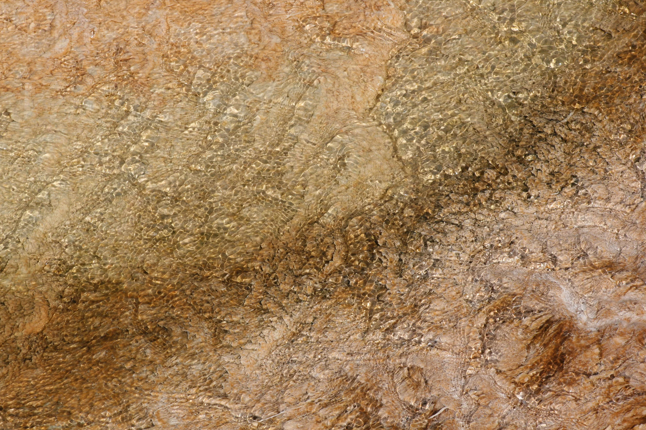Texture060.JPG