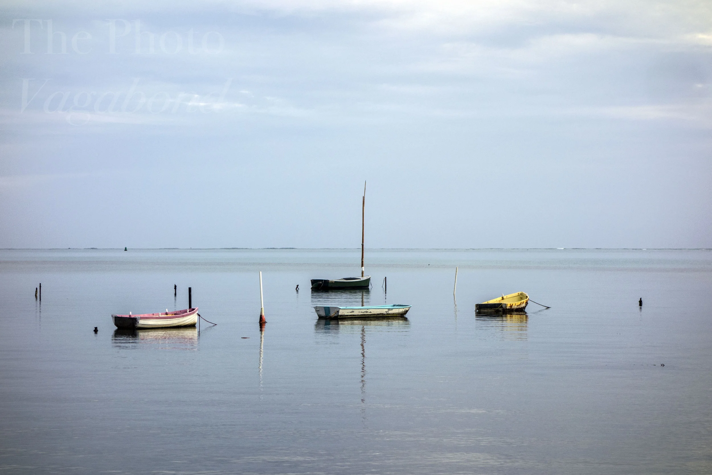 _DSC8878.jpg