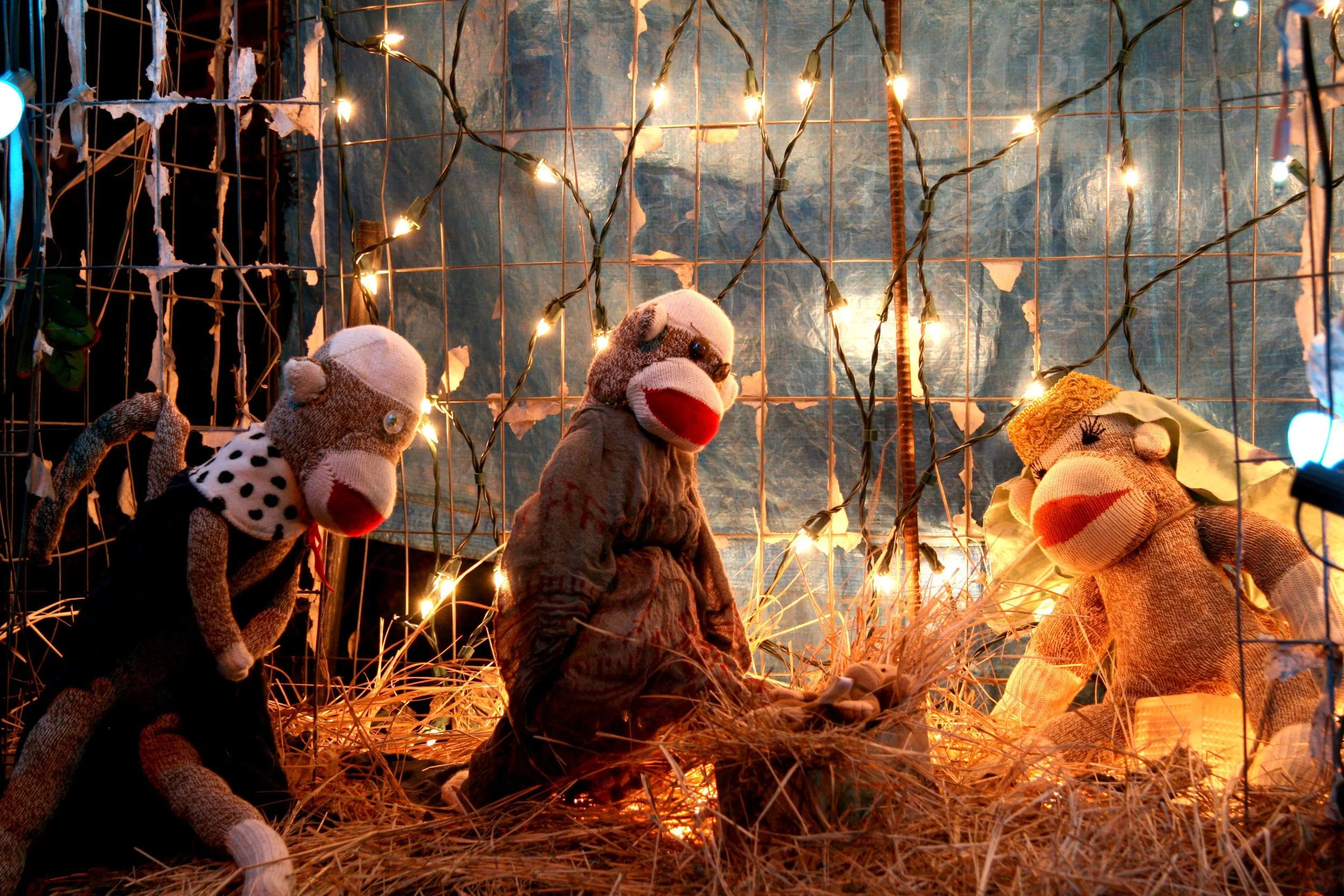 Sock Monkey Nativity 3.JPG