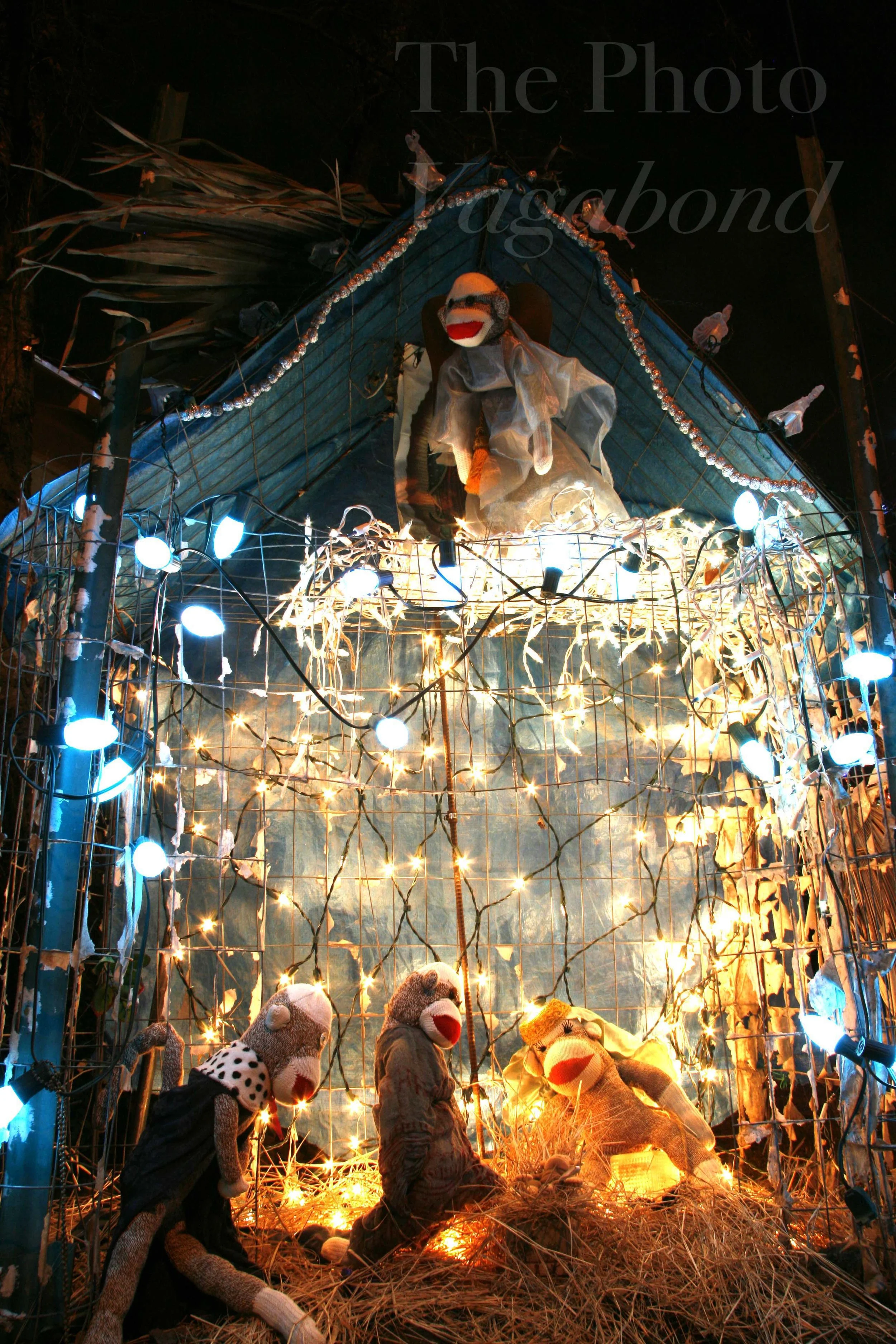 Sock Monkey Nativity 1.JPG