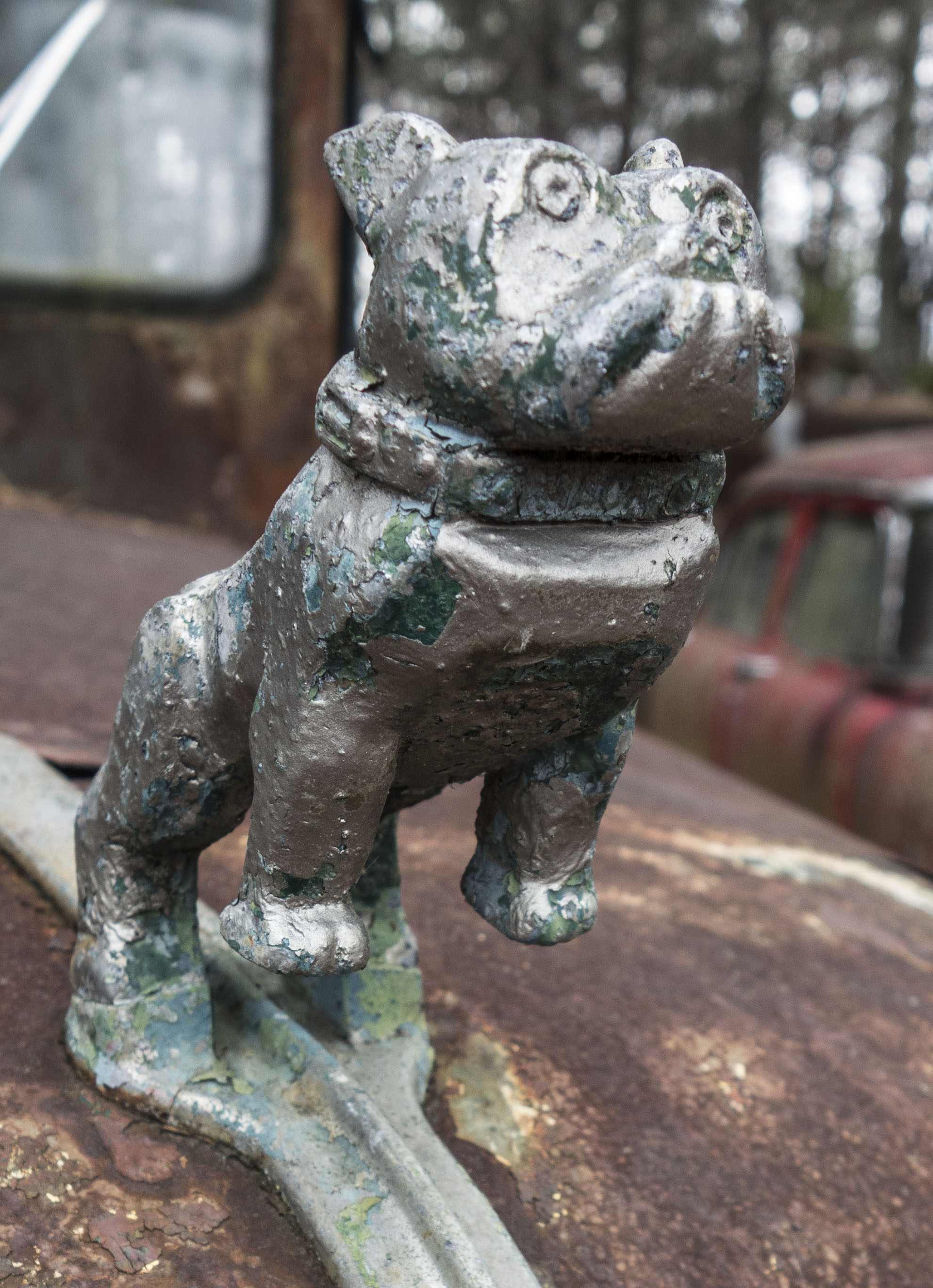 Mack Bull Dog