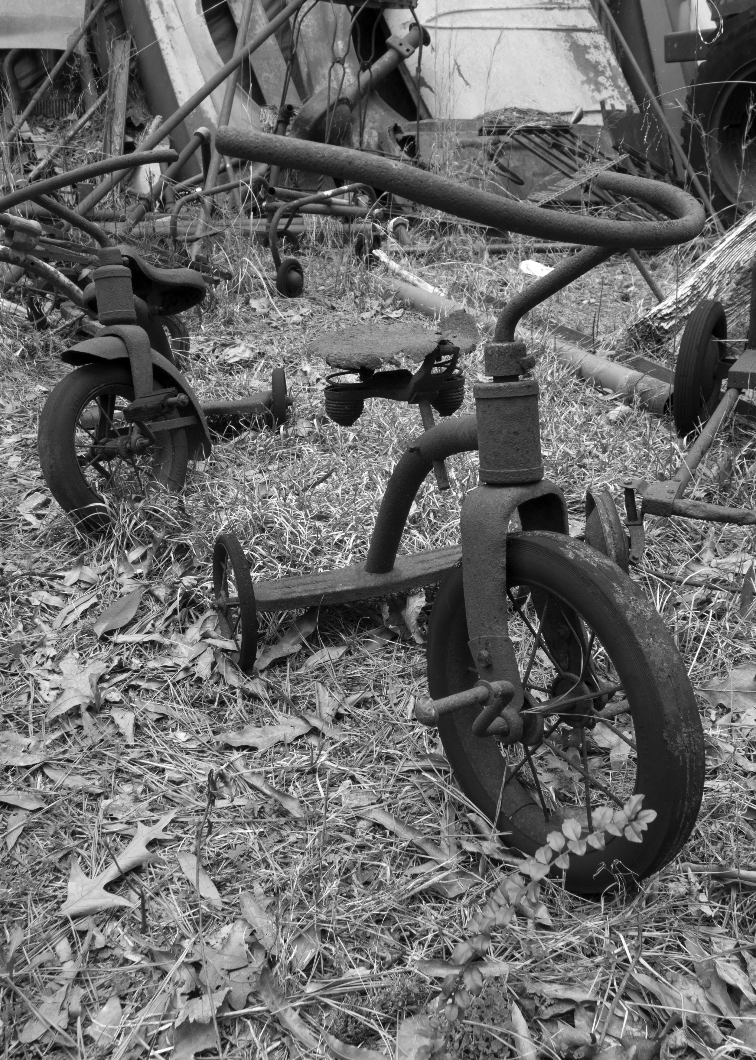 Rusty Trike