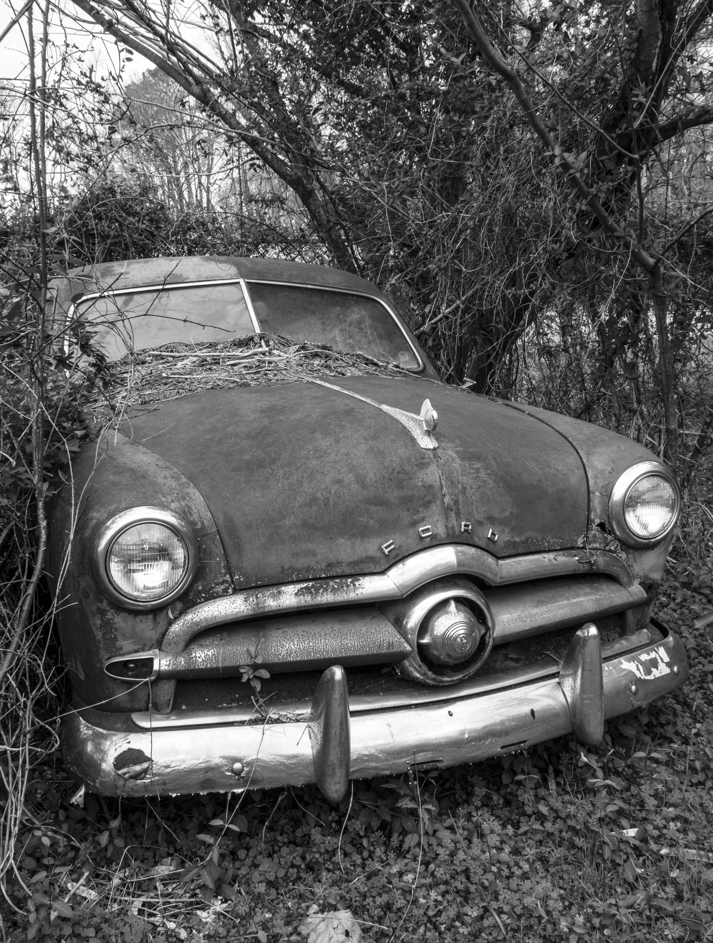 1949 Ford