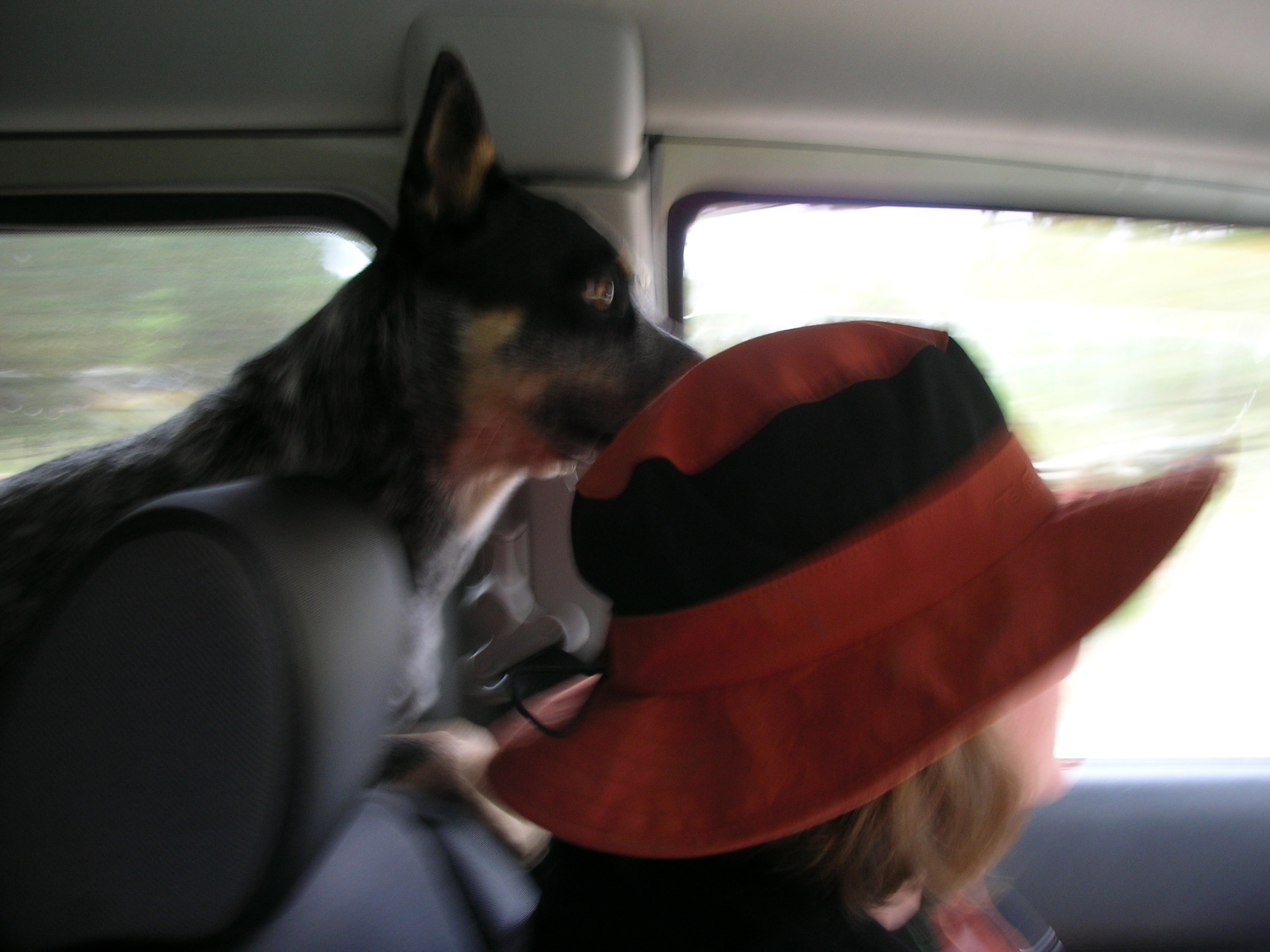 Always wants to see what's up!