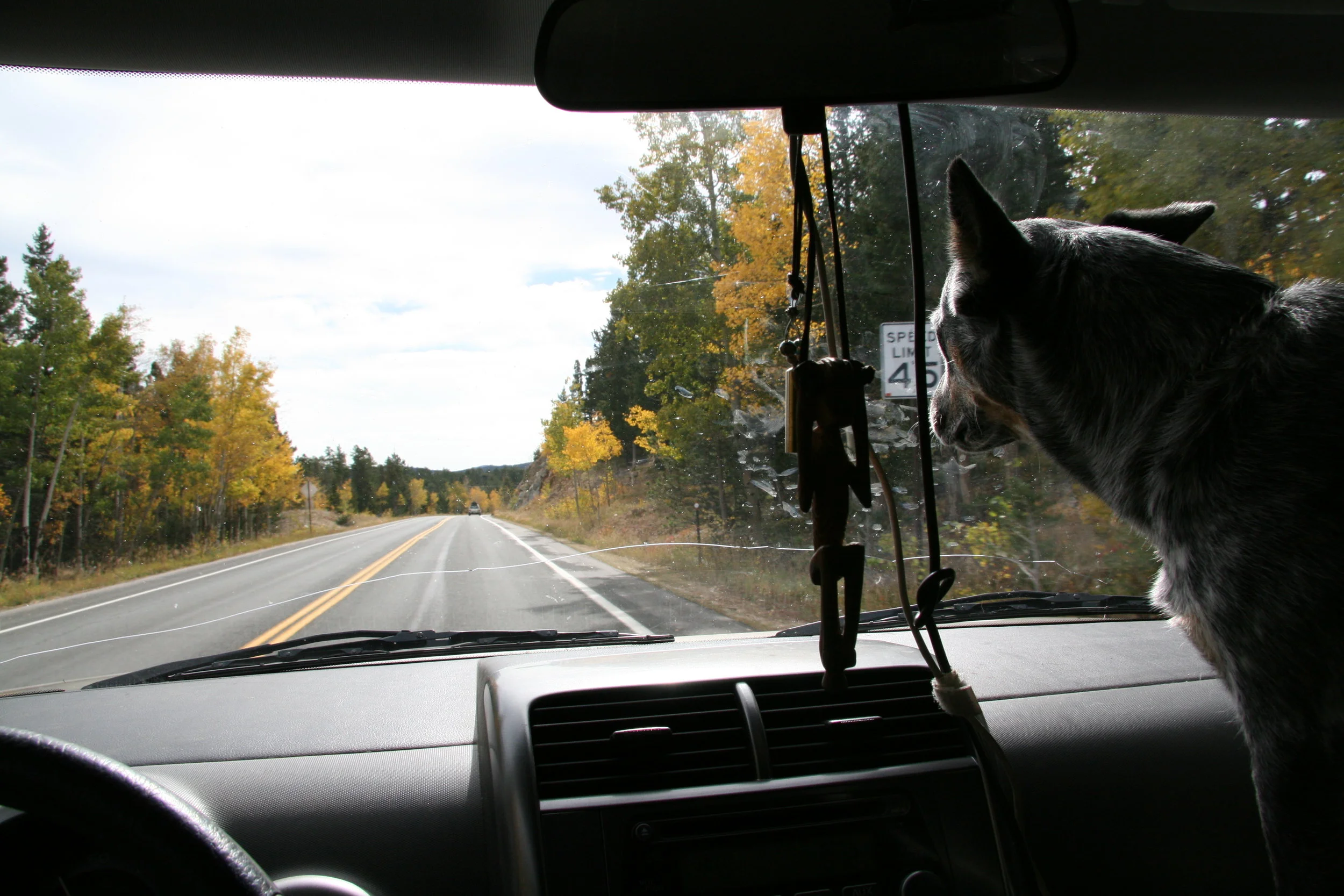 Must. See. Everything.