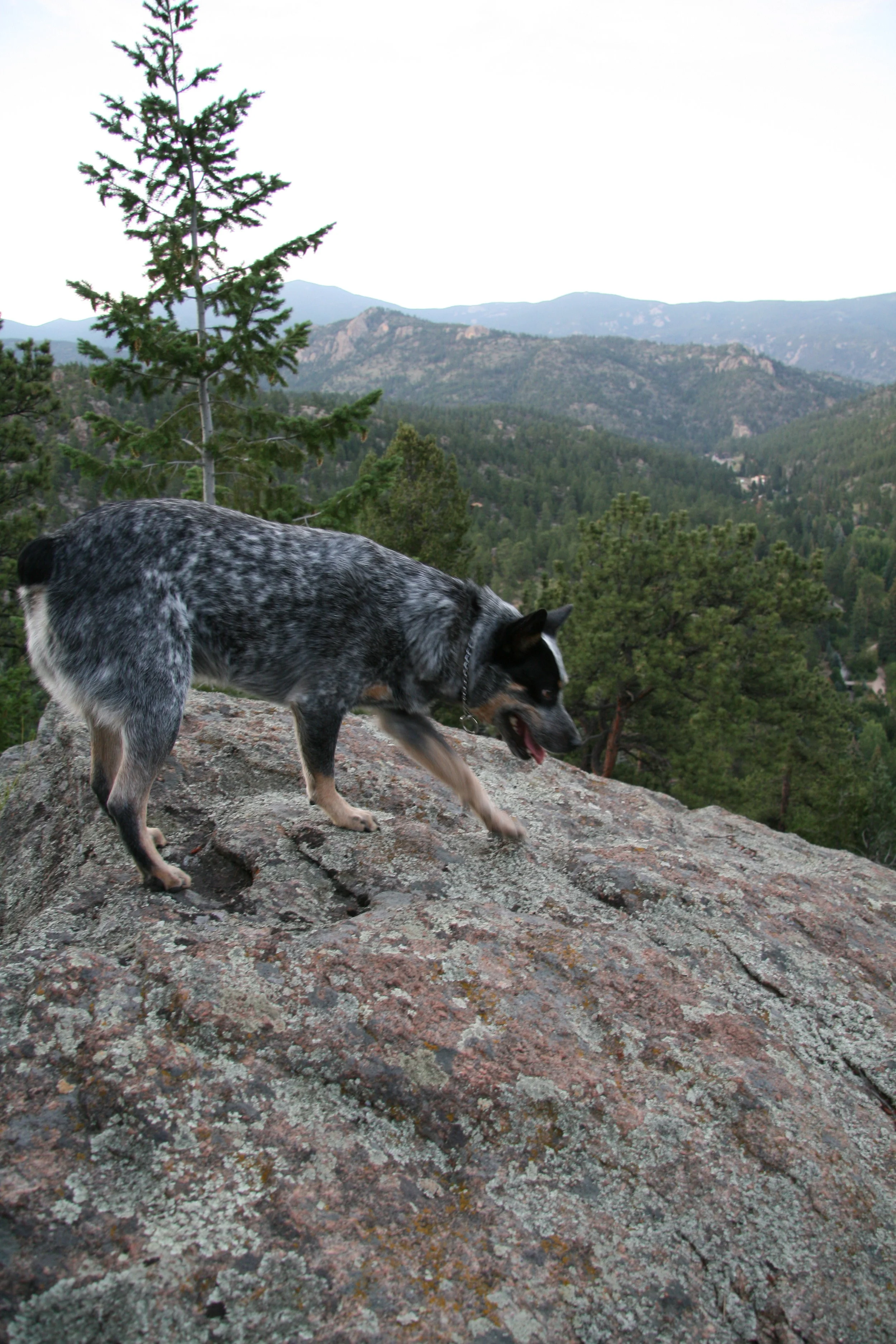 Behind the cabin in Glen Haven