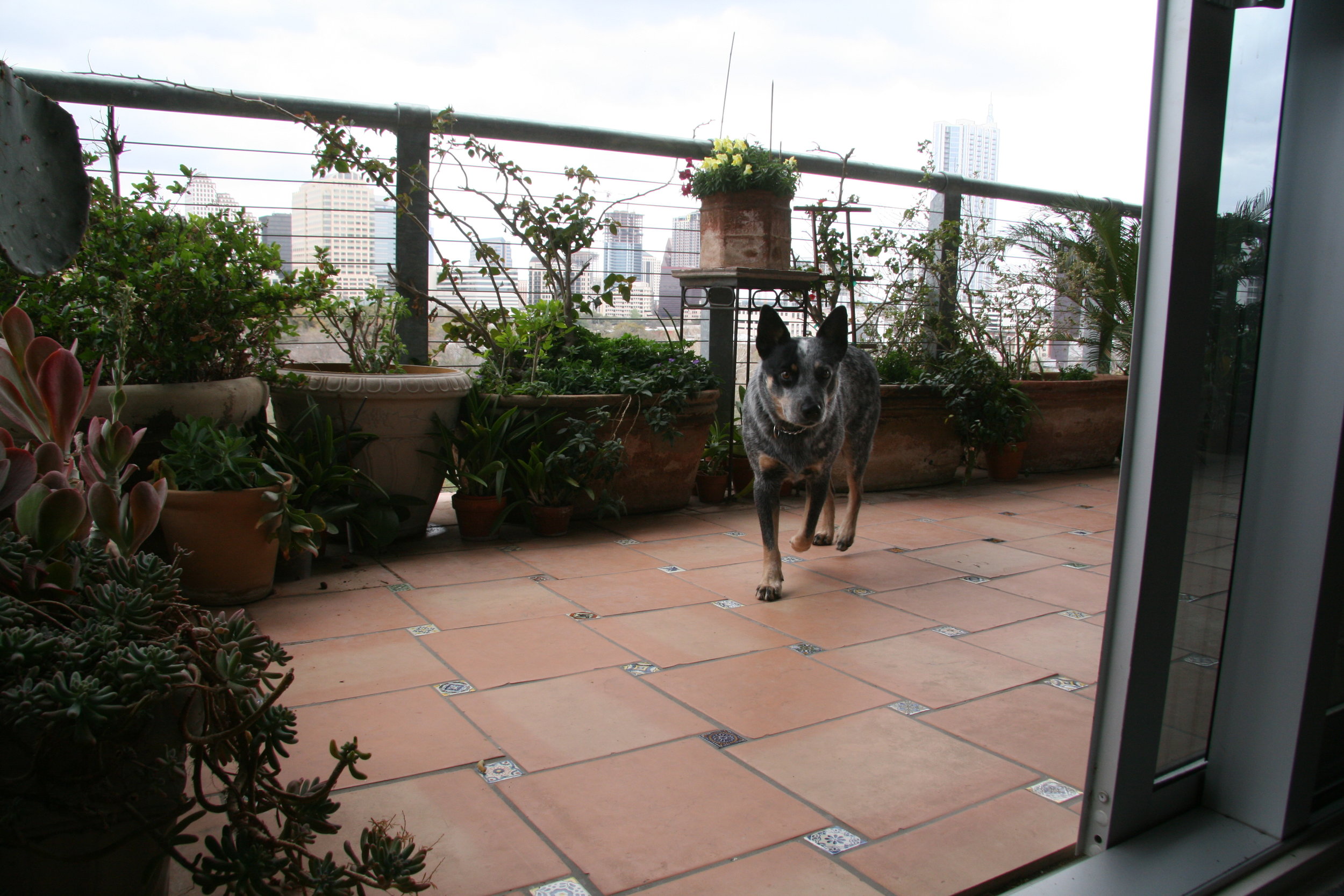 Visiting the 7th floor, downtown Austin