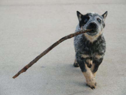 I got this.