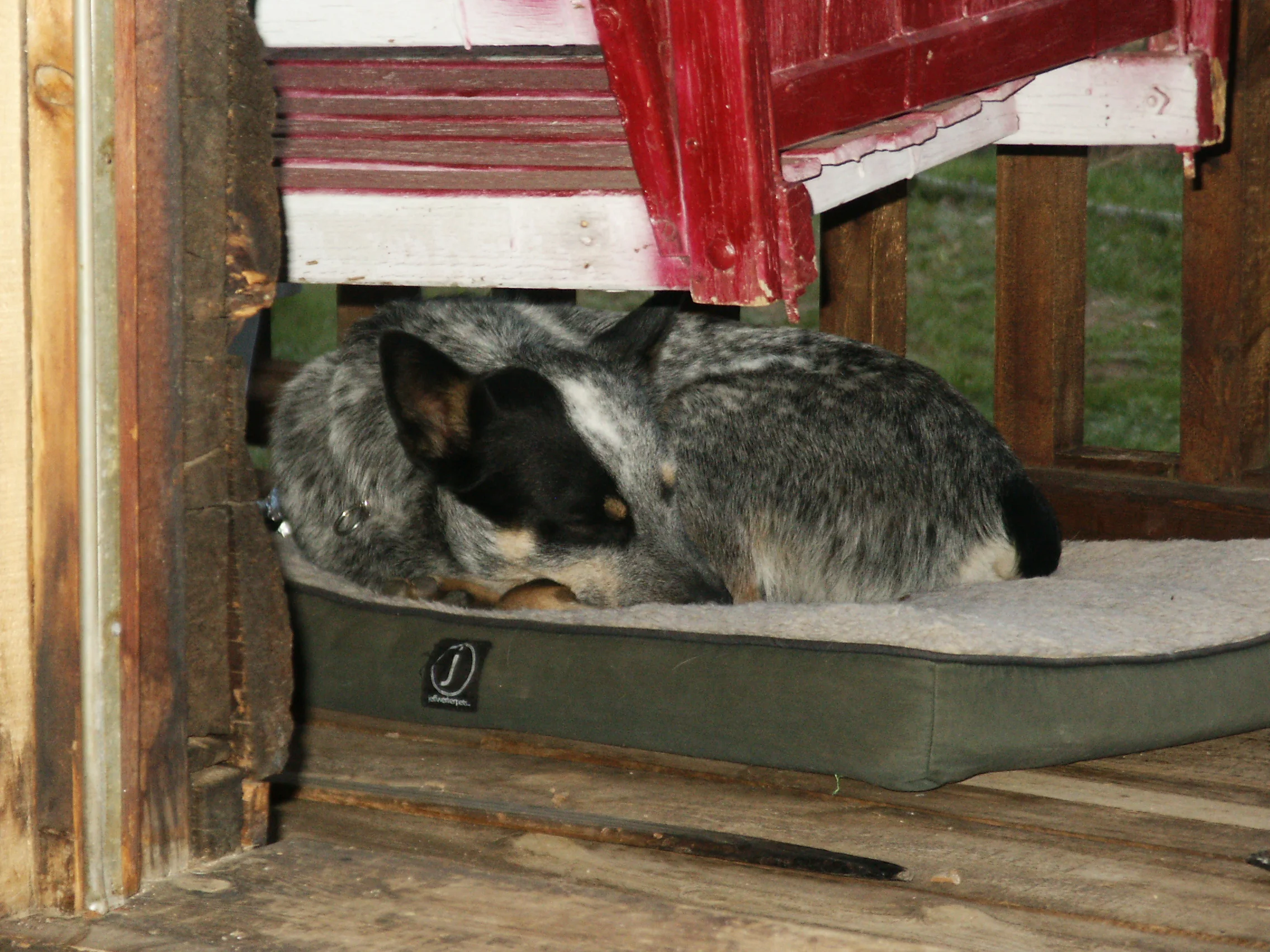 Sleeping at the tiny cabin in the canyon.