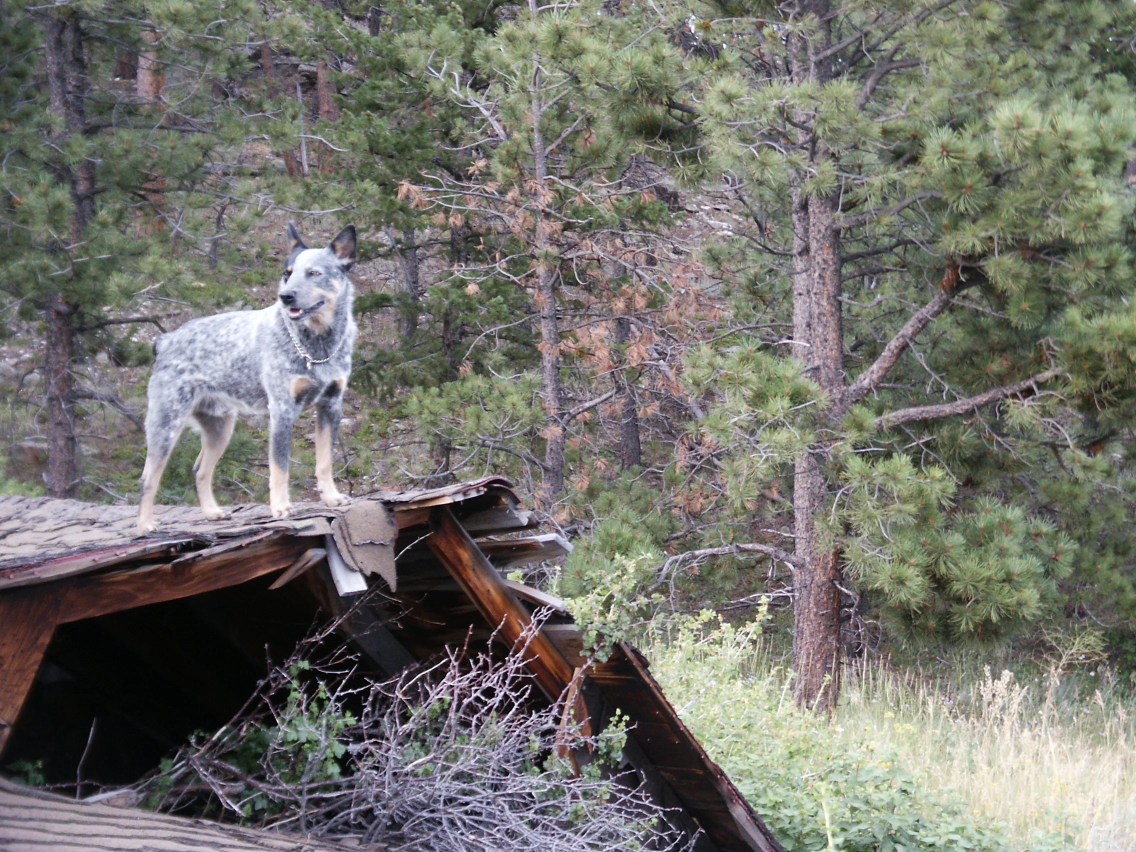 No rock to stand on?  