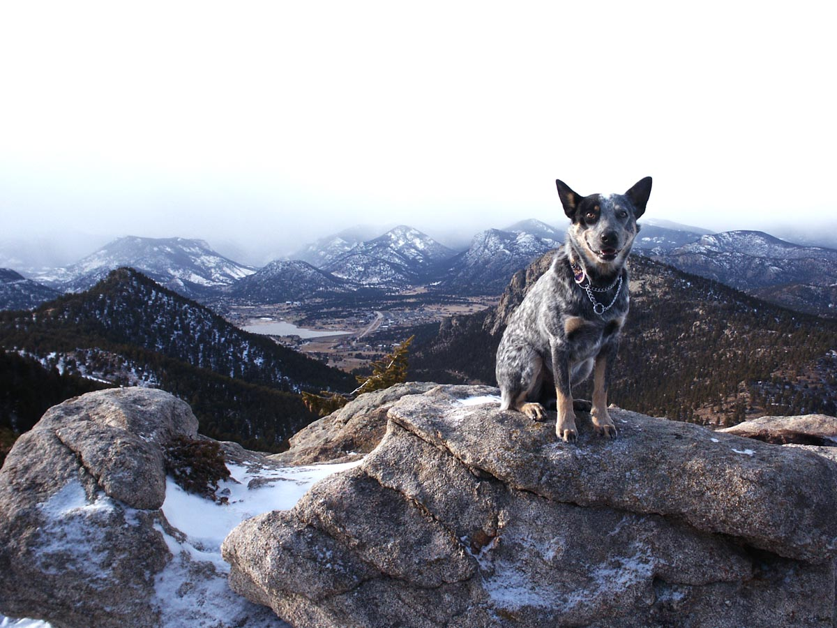 Mingus over Estes Park