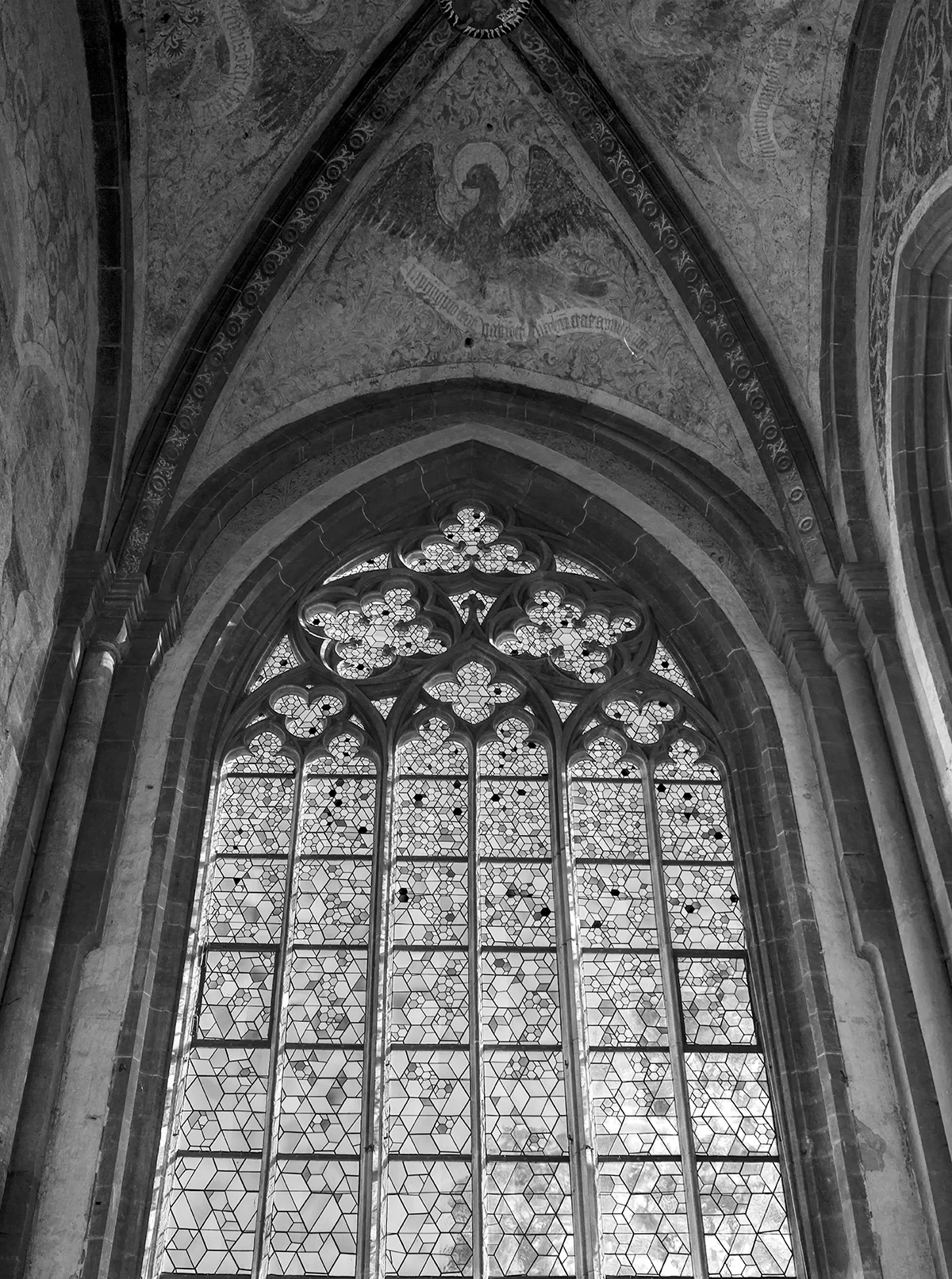 DSC03457a copy.jpg