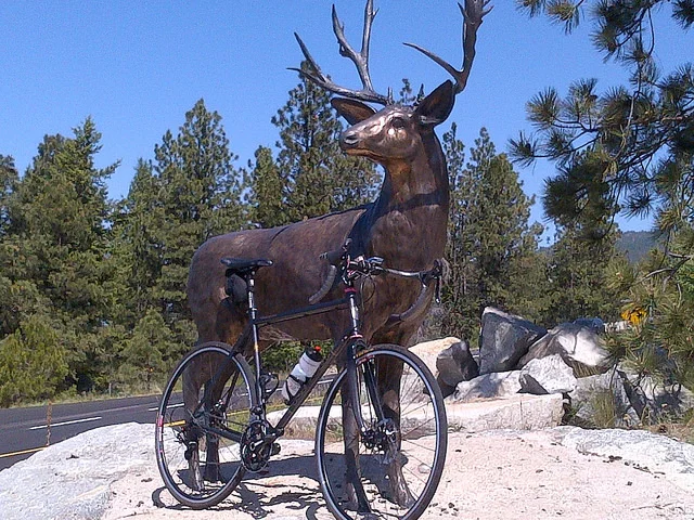 bikeandmuledeer.jpg