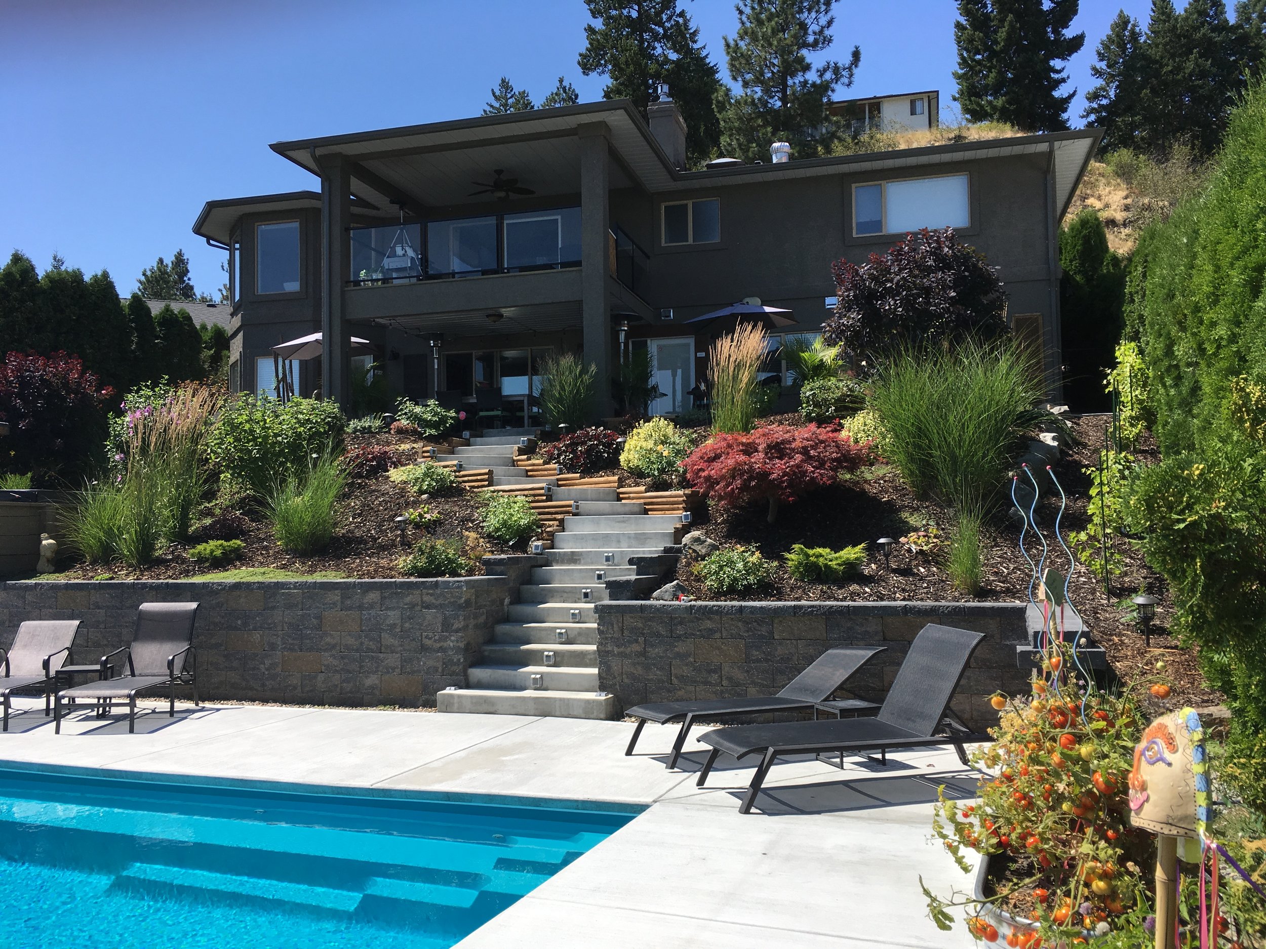 Backyard and Pool